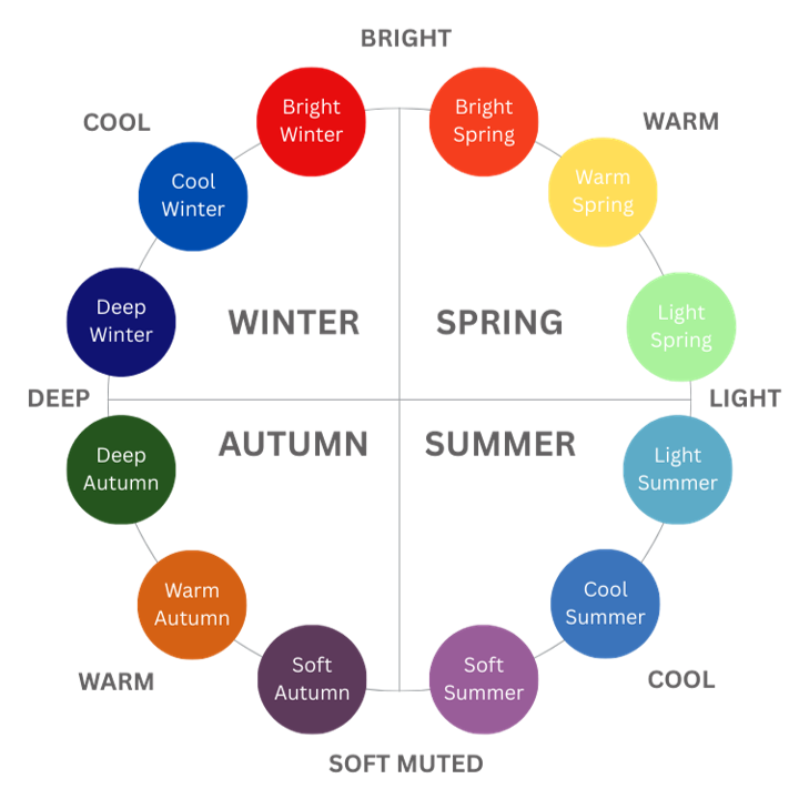 A diagram illustrating the four seasons, showing transitions between winter, spring, summer, and autumn with colors and labels for different seasons and weather conditions.
