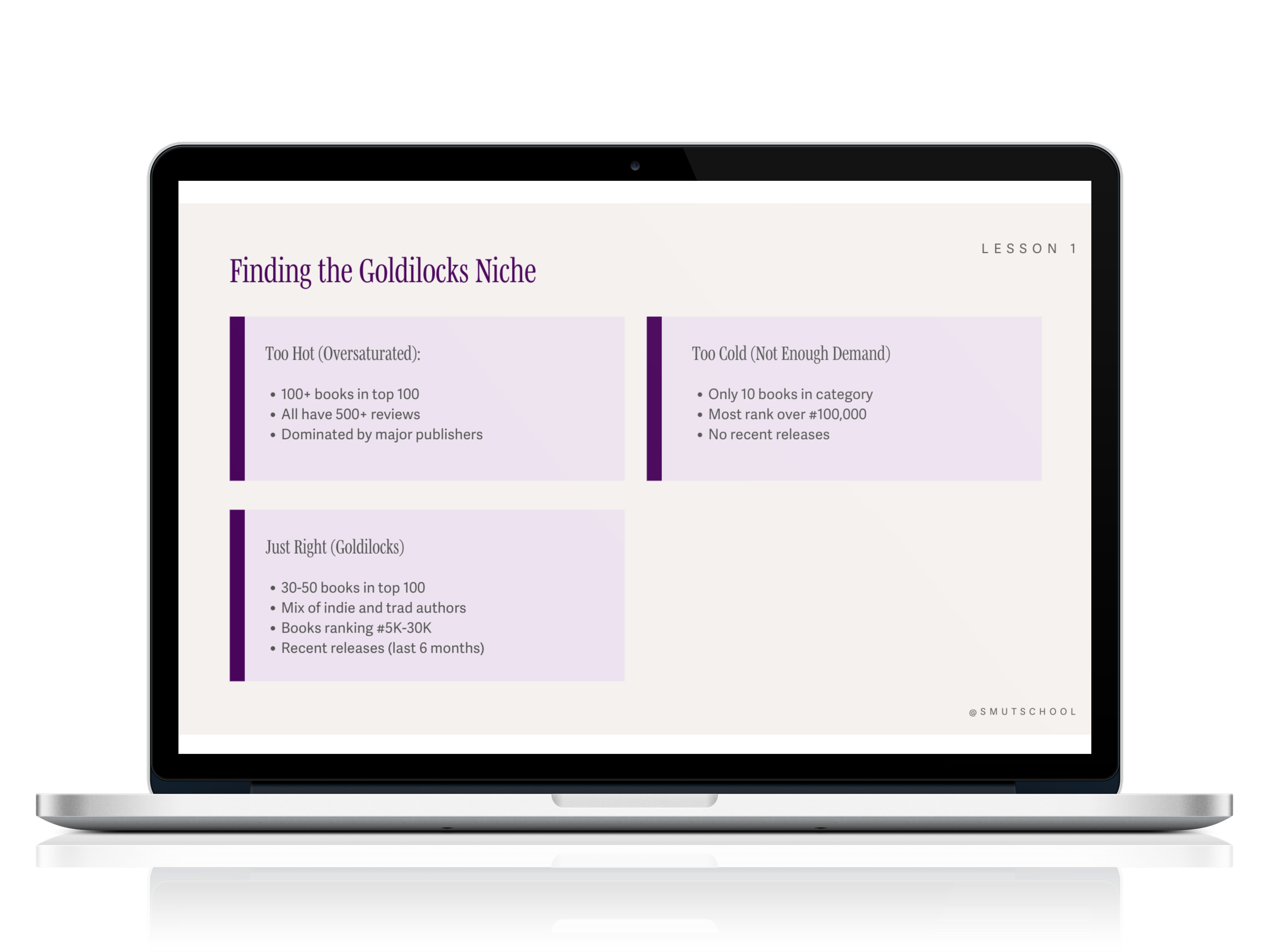 Laptop screen displaying a presentation slide titled 'Finding the Goldilocks Niche' with three sections: 'Too Hot (Oversaturated)', 'Just Right (Goldilocks)', and 'Too Cold (Not Enough Demand)'. Each section lists characteristics of books in that niche.
