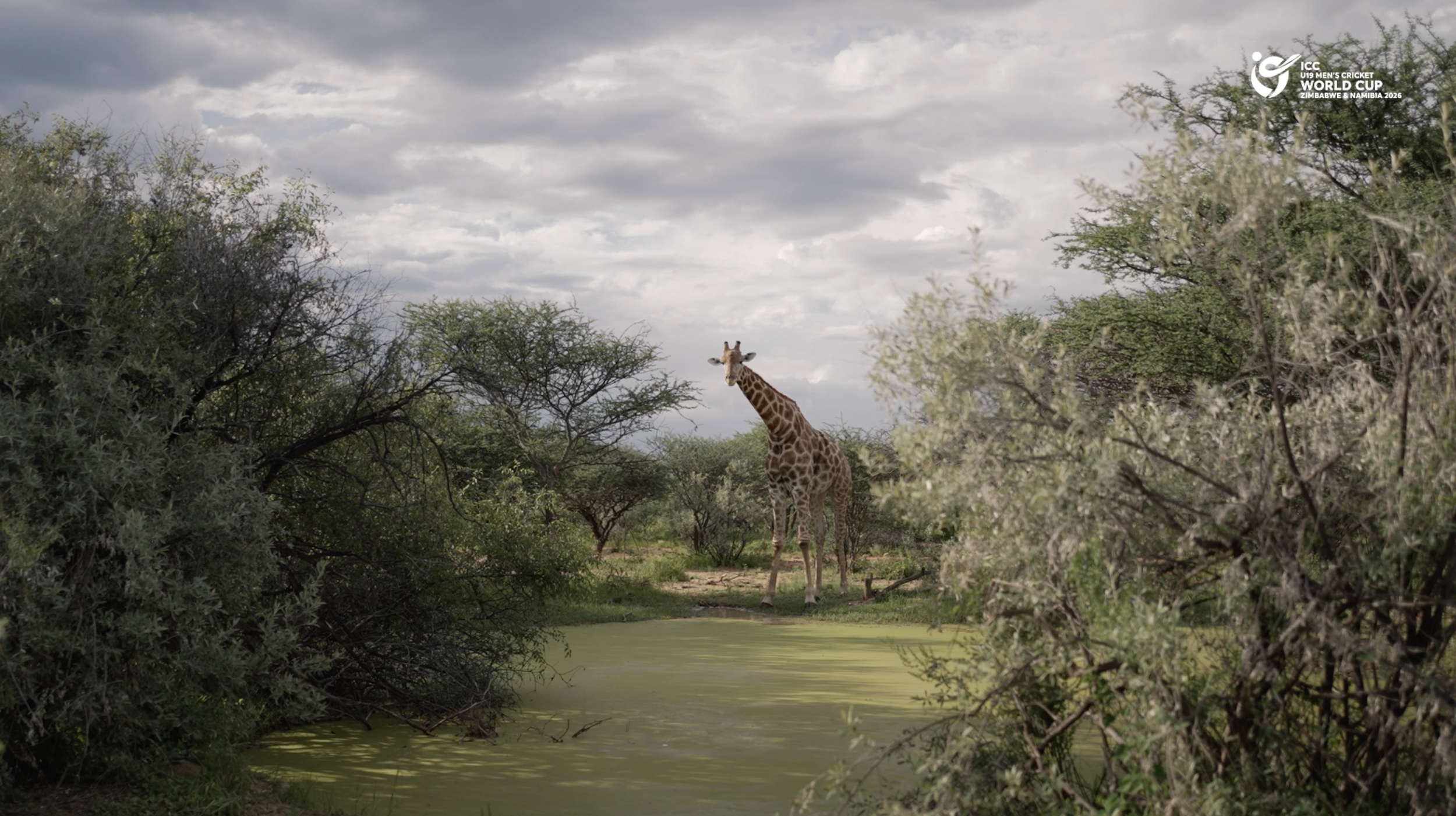 Screenshot 2026-01-29 at 16.06.48.png