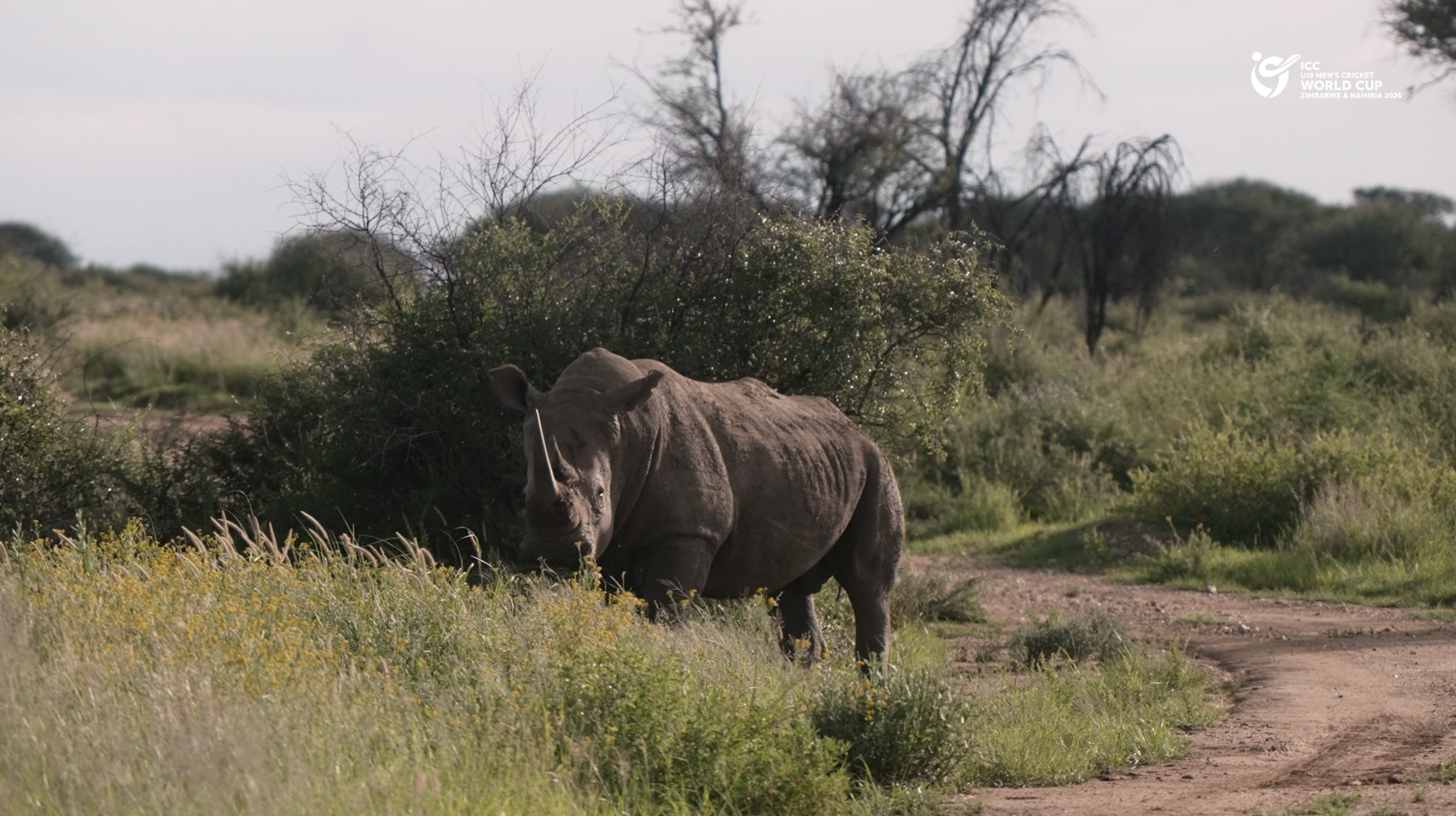 Screenshot 2026-01-29 at 16.07.22.png