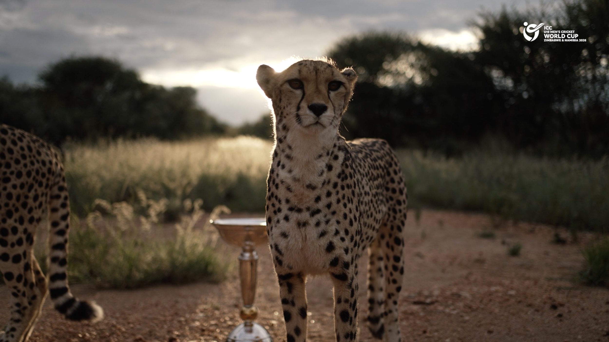 ICC at N/a'an ku sê