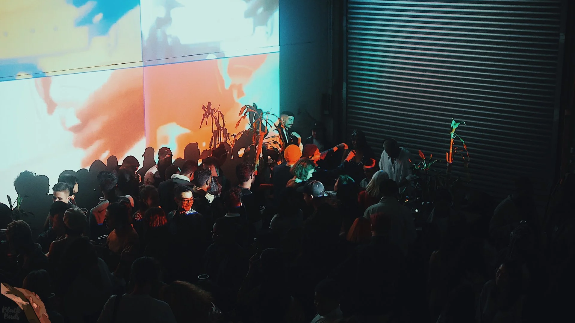 Lunar Sequence x Black Birds