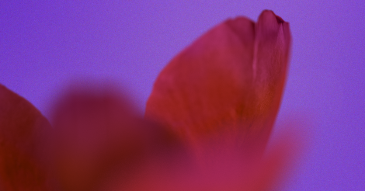 for the circular movement of knowledge: Urban Theatre Projects