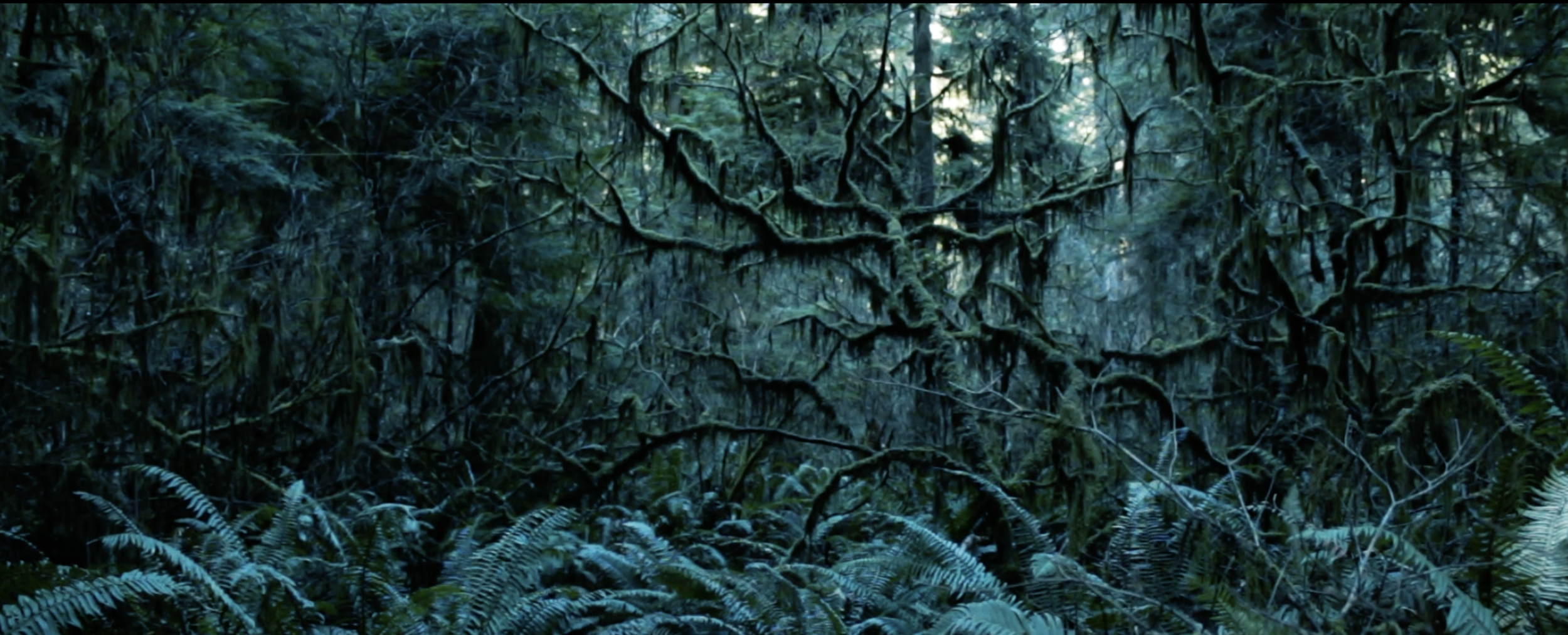 You Were In My Dream Last Night