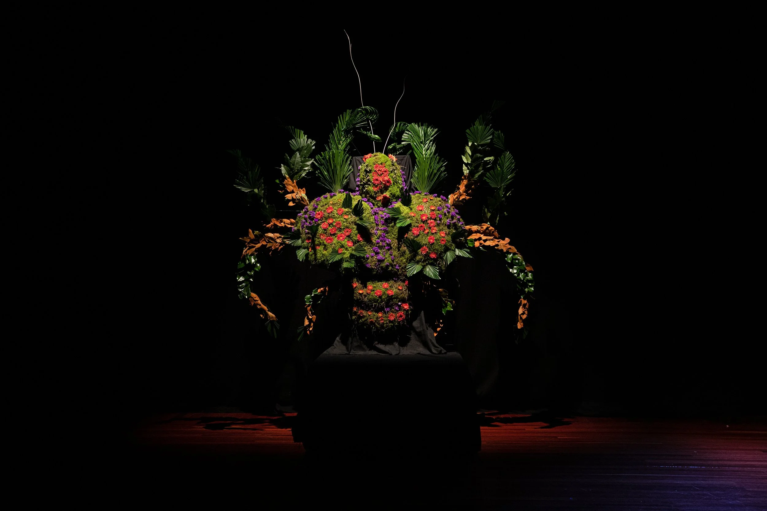 Aqua Nullius: Toe Fai!