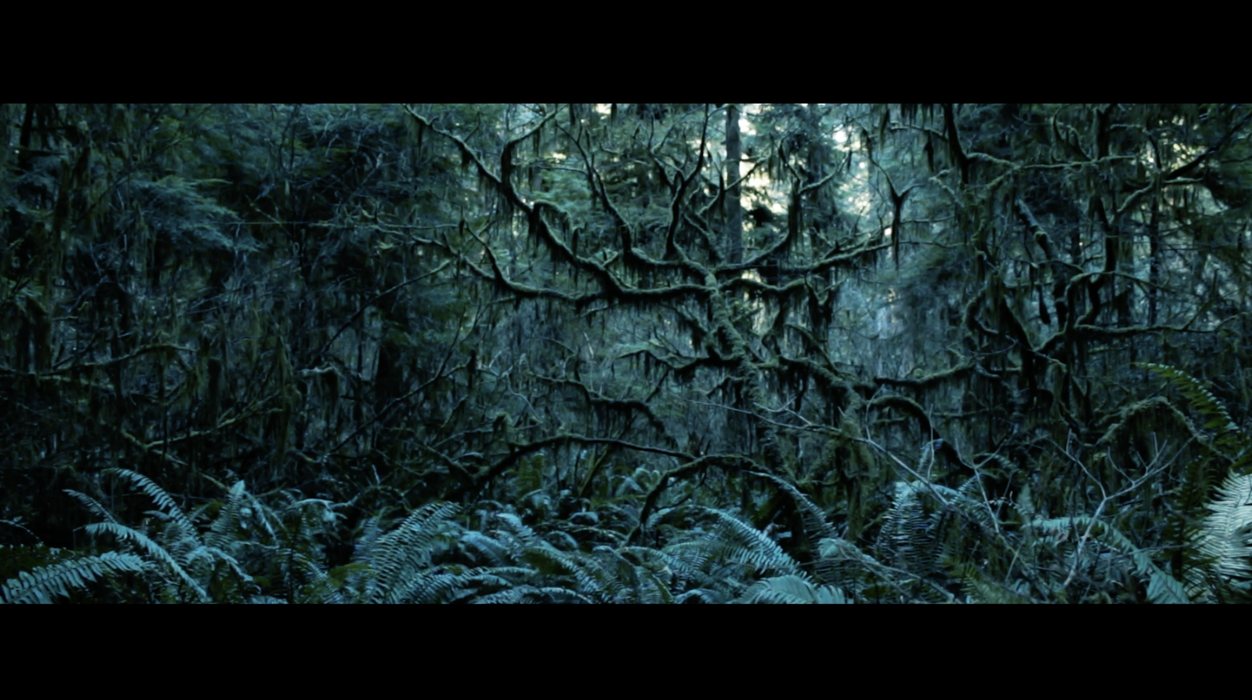 Screenshot 2025-12-10 at 3.11.23 AM.png