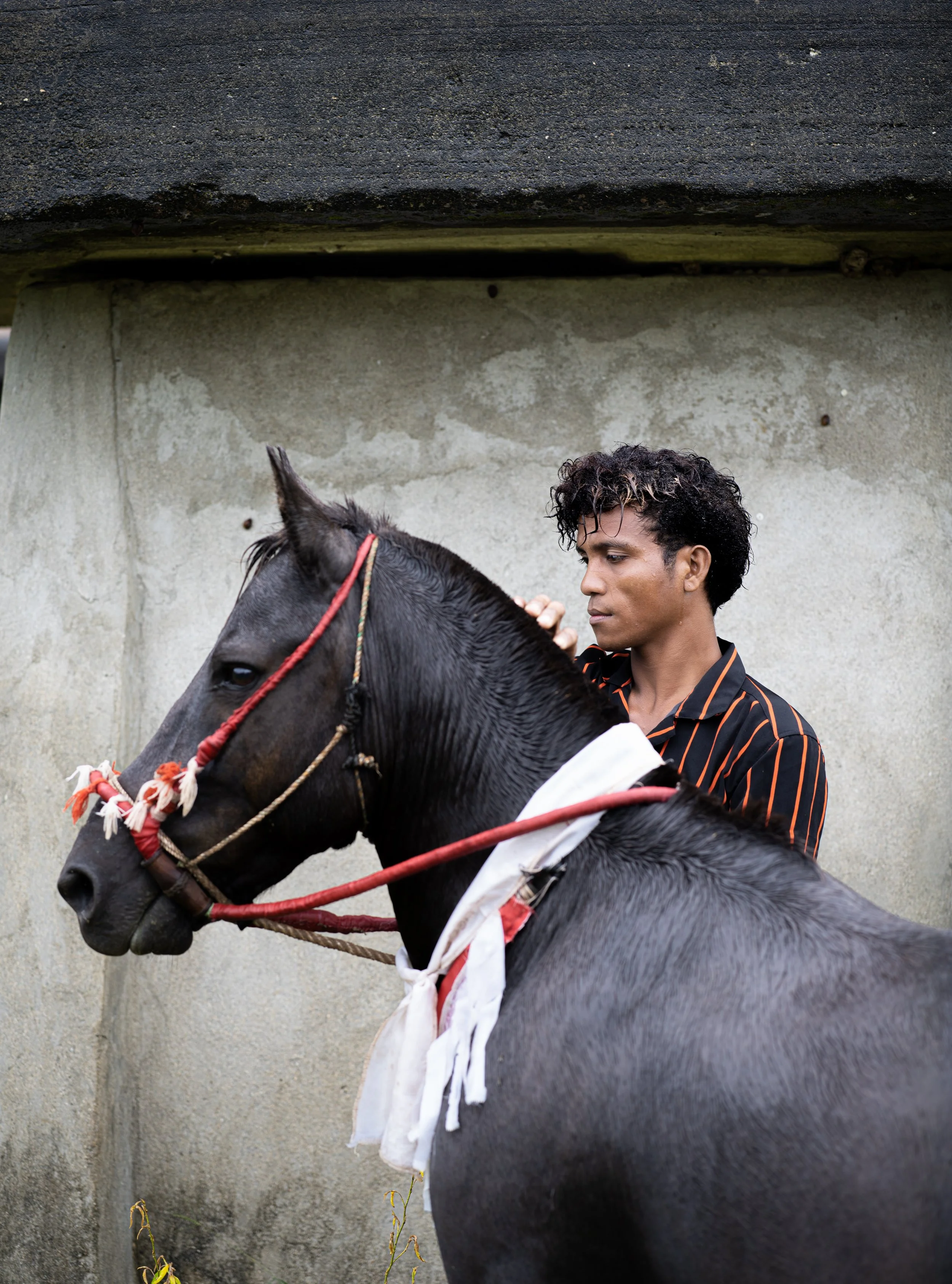 A young man with curly black hair wearing a black shirt with orange stripes stands beside a grey horse with a red bridle and white cloth around its neck, against a plain concrete wall.