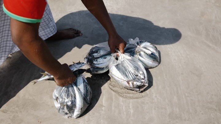 Salalah&rsquo;s moving postcard&hellip;.soon to be a different picture

Salalah, Oman has such a unique soul, it captured my heart fully! But it is on the brink of a major transformation. With a RO 80 million injection into tourism, the landscape is 