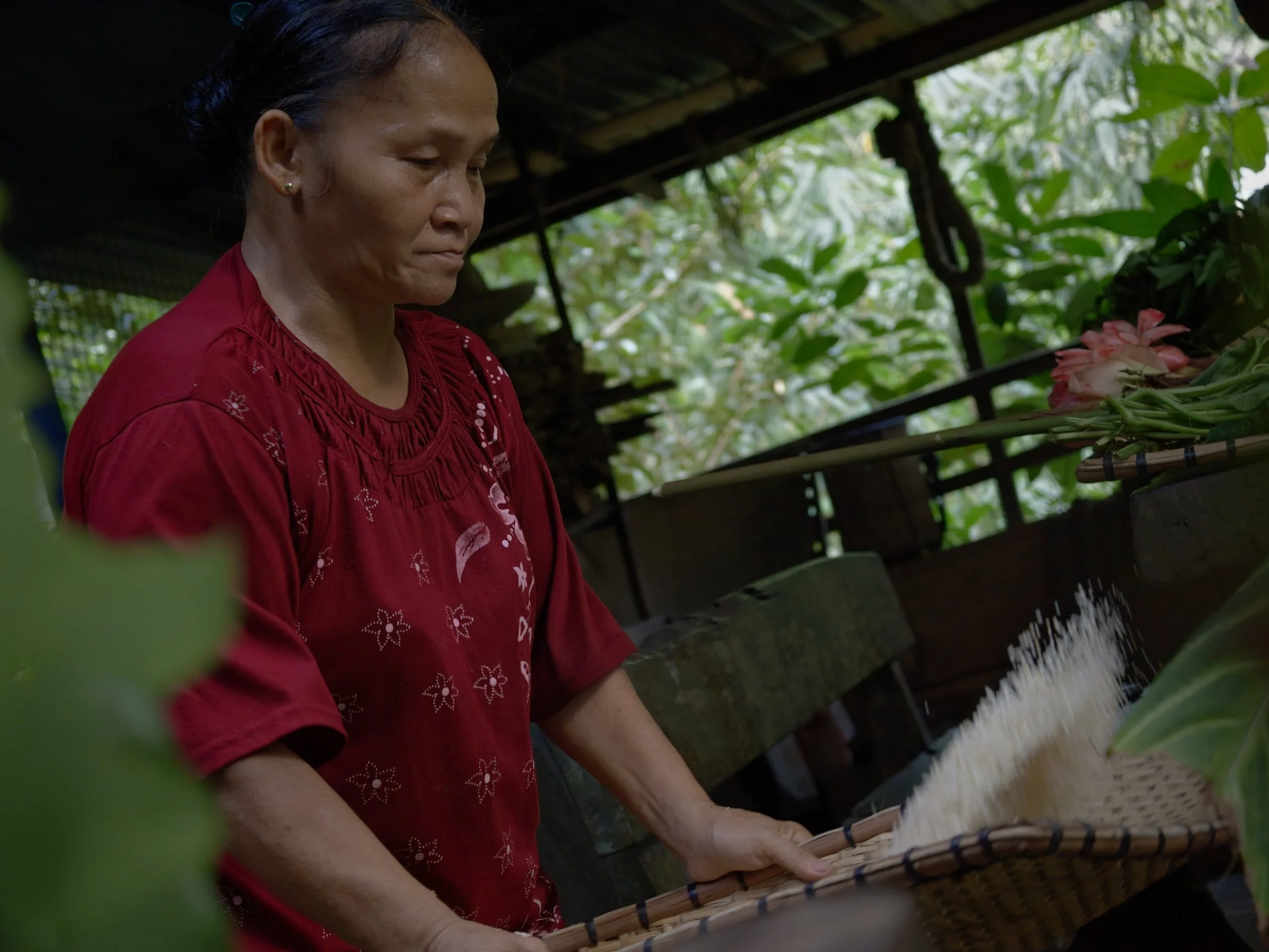 Saie sieving rice using a tapan. After padi (rice) is pounded or milled, the tapan is used to sieve out debris, husk, and empty grains from the good rice.