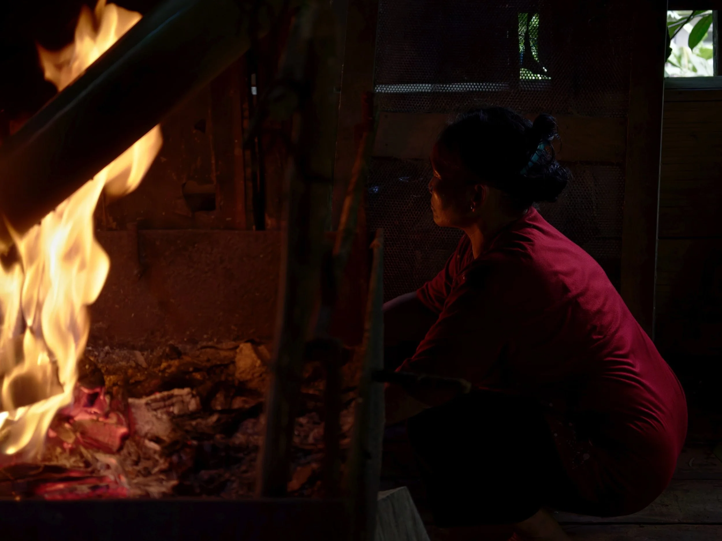 Bidayuh woman cooking rice directly in a bamboo tube, no meat, just the rice picking up the smoke and bamboo aroma from the fire.