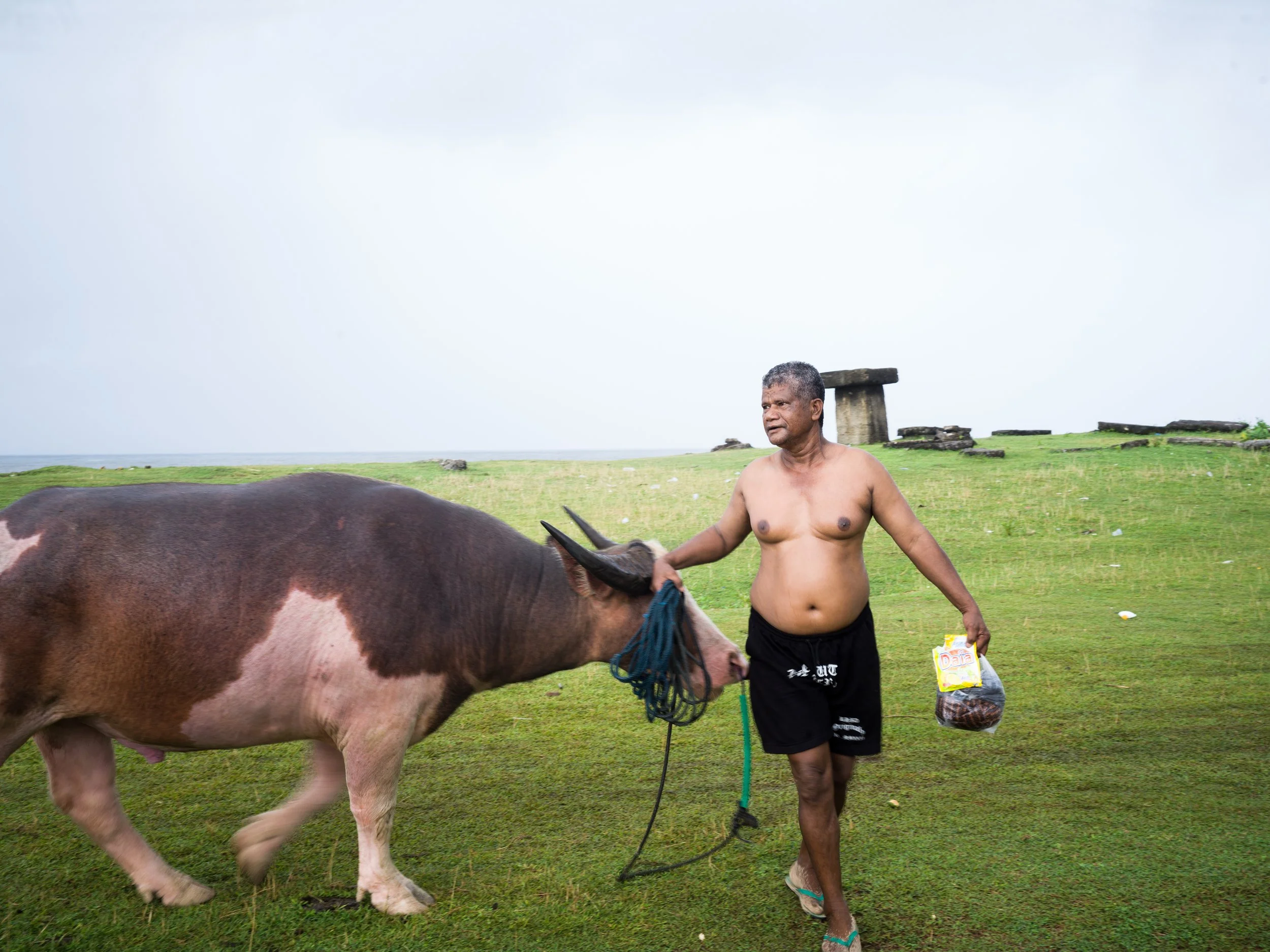Sumbanese man and his priced buffalo, taken in Sumba, Indonesia