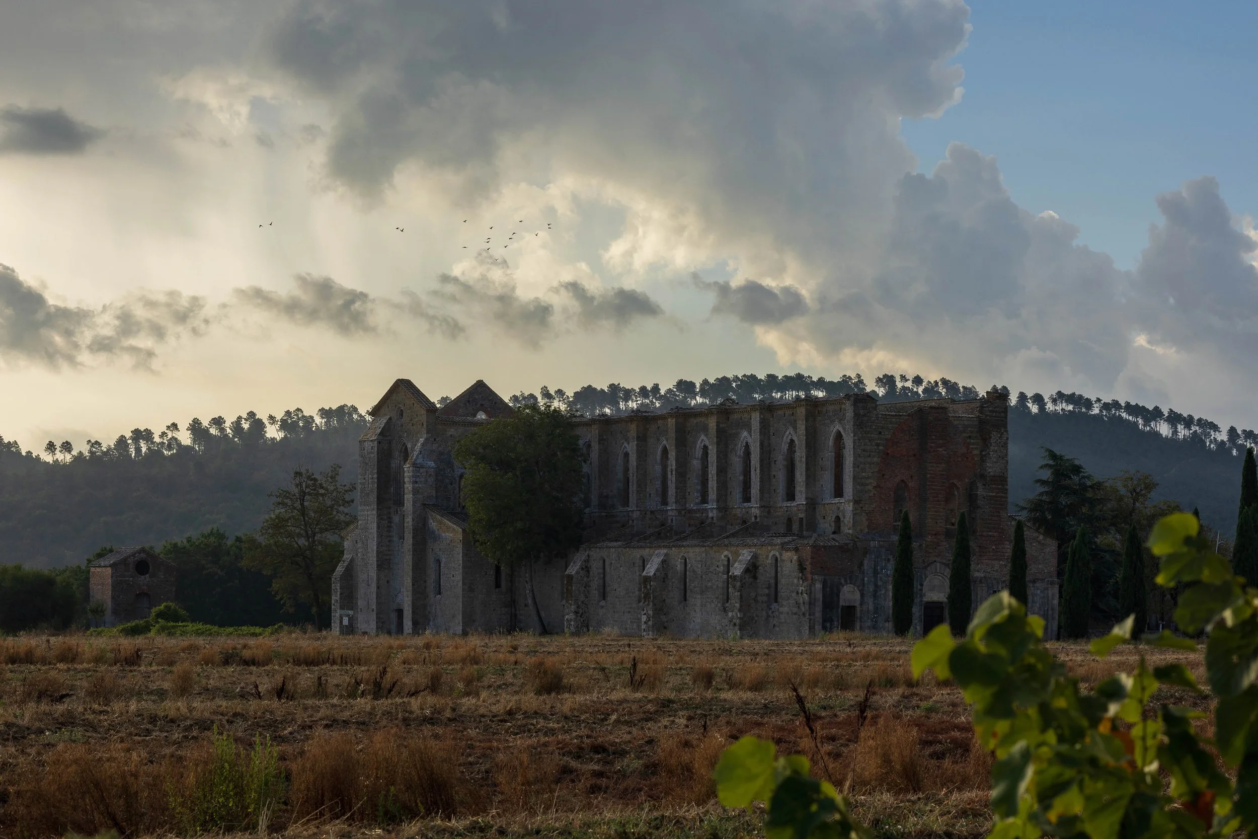 fotografia di paesaggio abbazia di san Galgano, Chiusdino (SI)