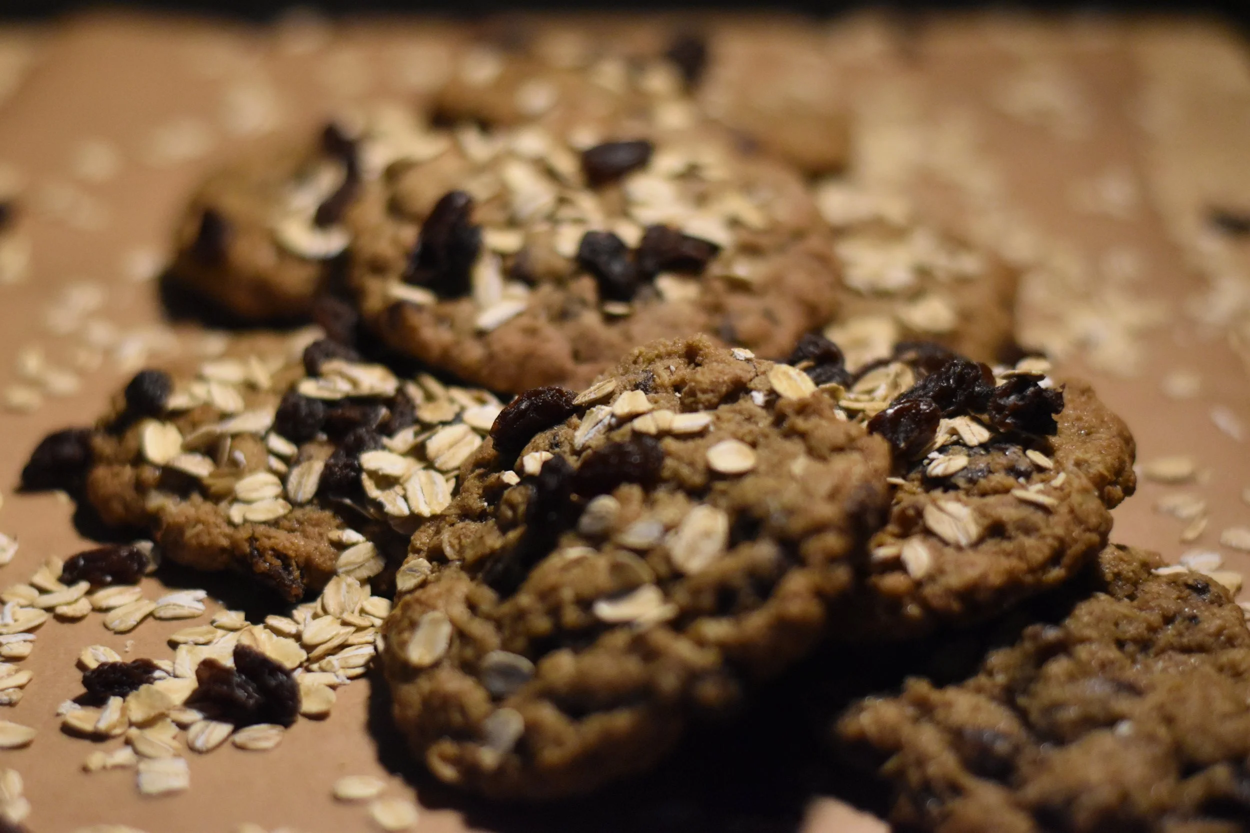 Close-up of chocolate chip oatmeal cookies topped with rolled oats and dried cranberries.