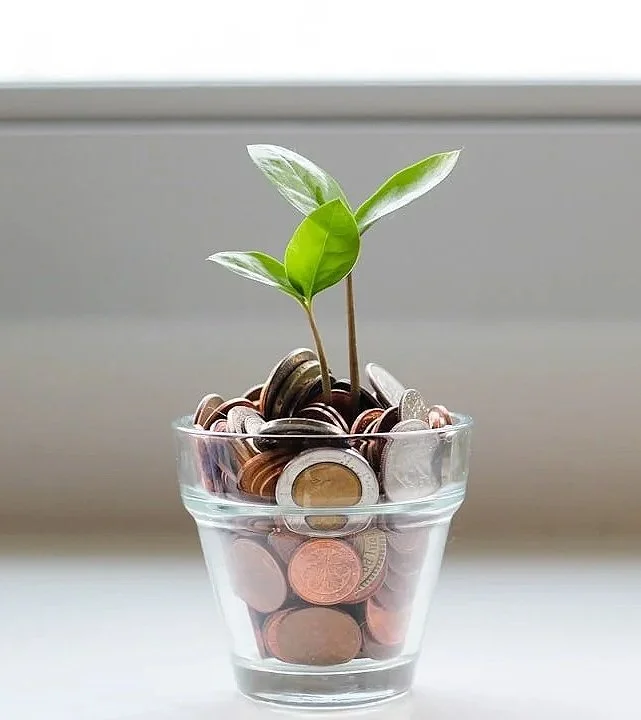 A glass filled with coins, with a small plant growing from the coins.