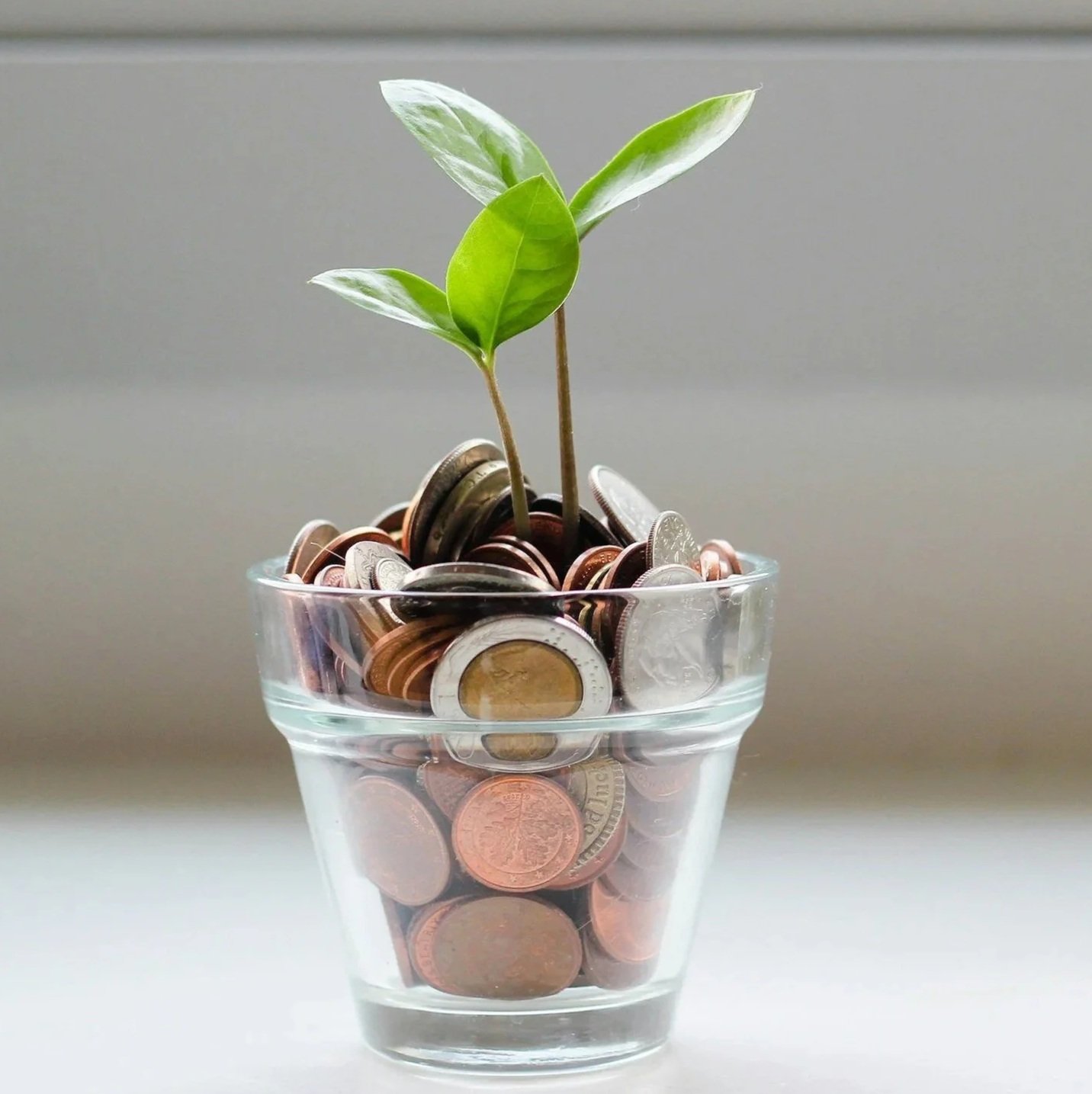 A small glass pot filled with assorted coins, with a green plant sprouting from the coins.