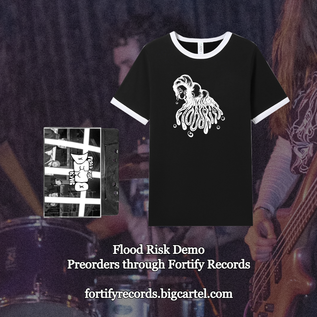 floodrisk_promo2.png