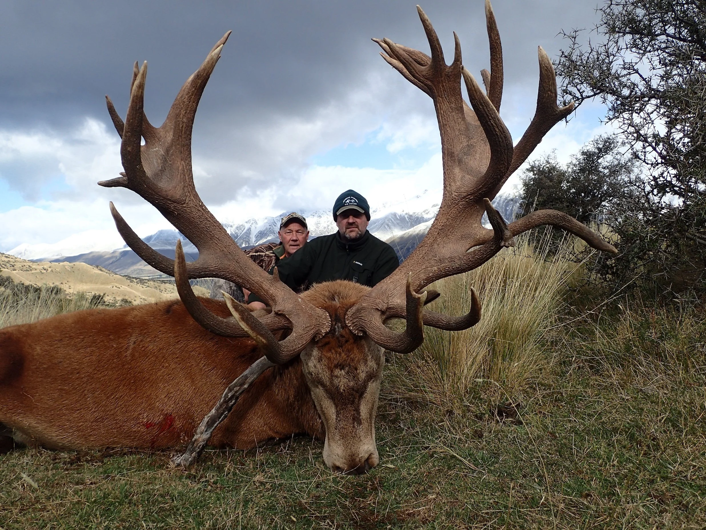 Two hunters pose behind a large Alaskan moose with impressive antlers lying on the ground in a grassy field, with mountains and a cloudy sky in the background.