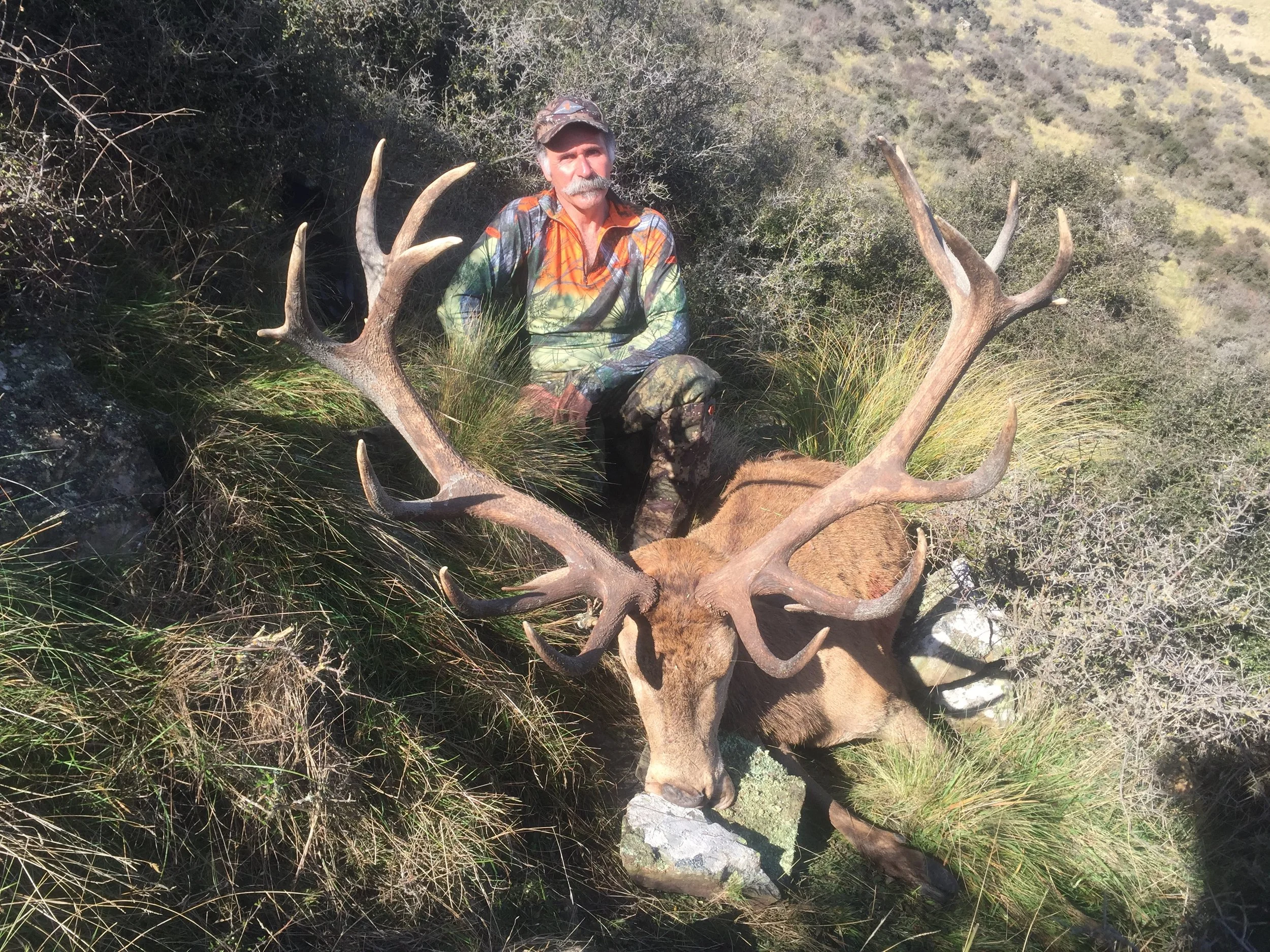 A man with a mustache and camouflage clothing sitting behind a large elk with impressive antlers, in a natural, grassy, shrub-covered outdoor setting.