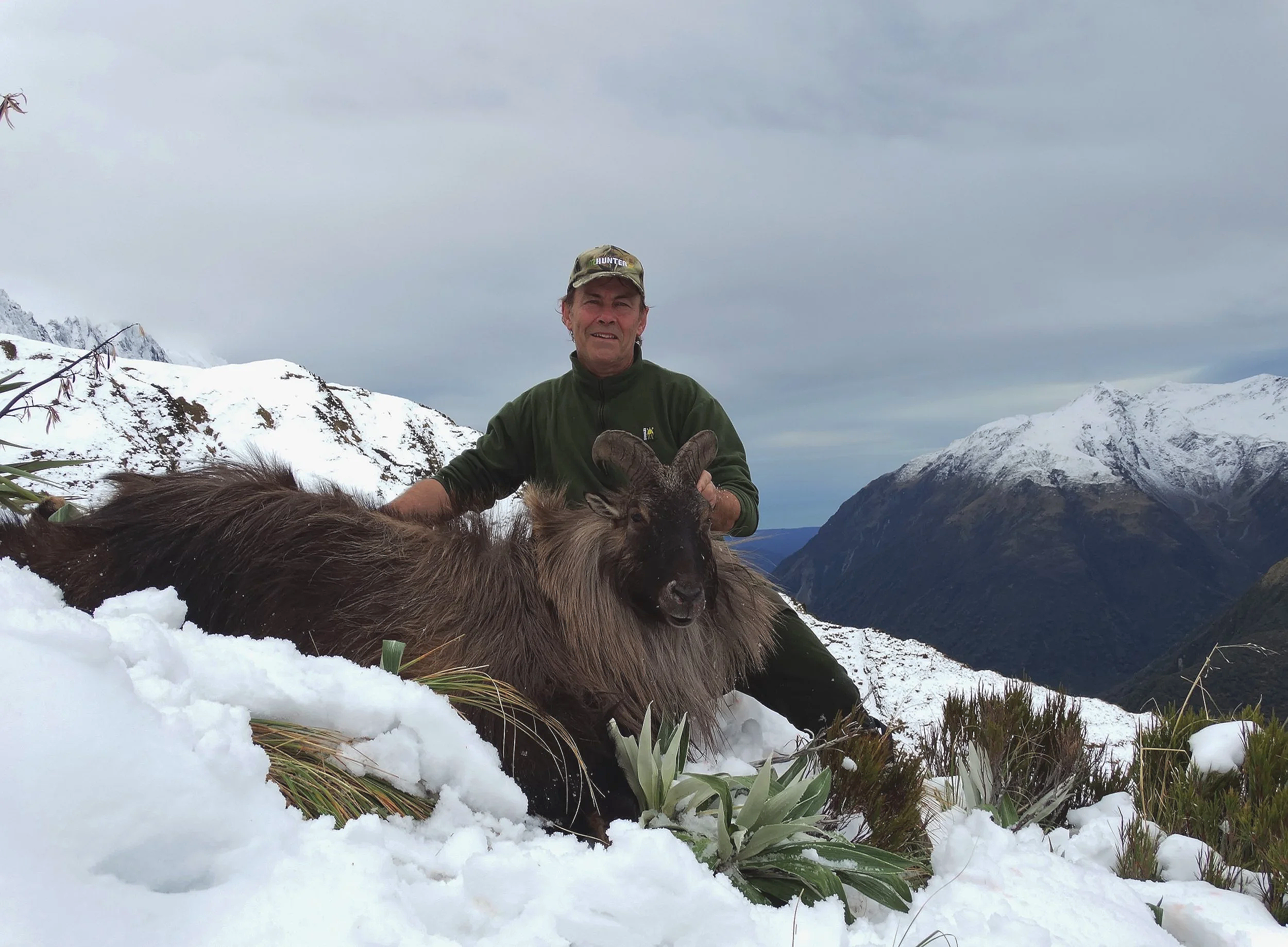 A man in outdoor gear kneeling in snow next to a large mountain goat with curved horns, in a snowy mountain landscape with high peaks and cloudy sky.