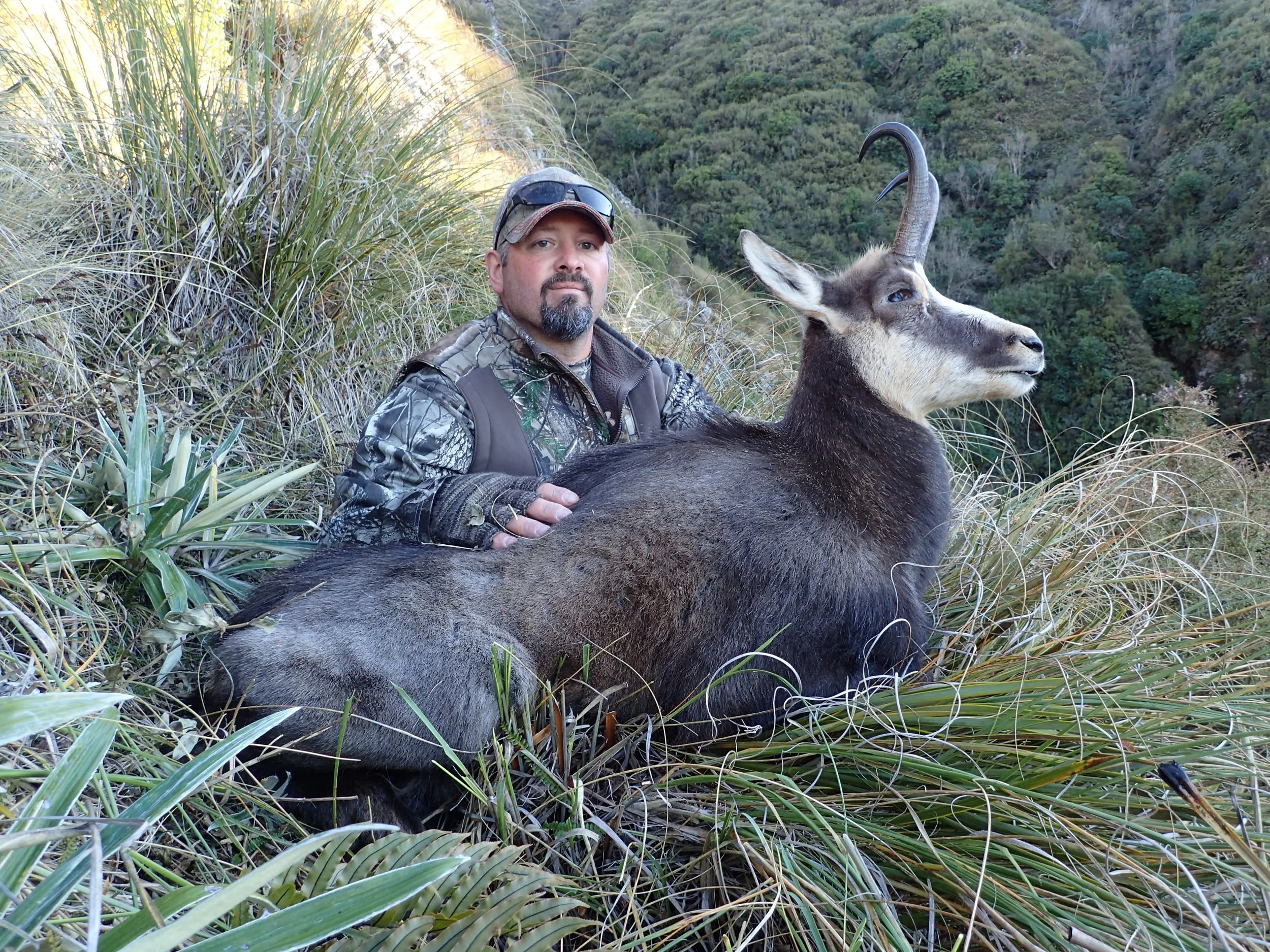 A man wearing camouflage gear sitting next to a large goat with twisted horns in a grassy, mountainous landscape.