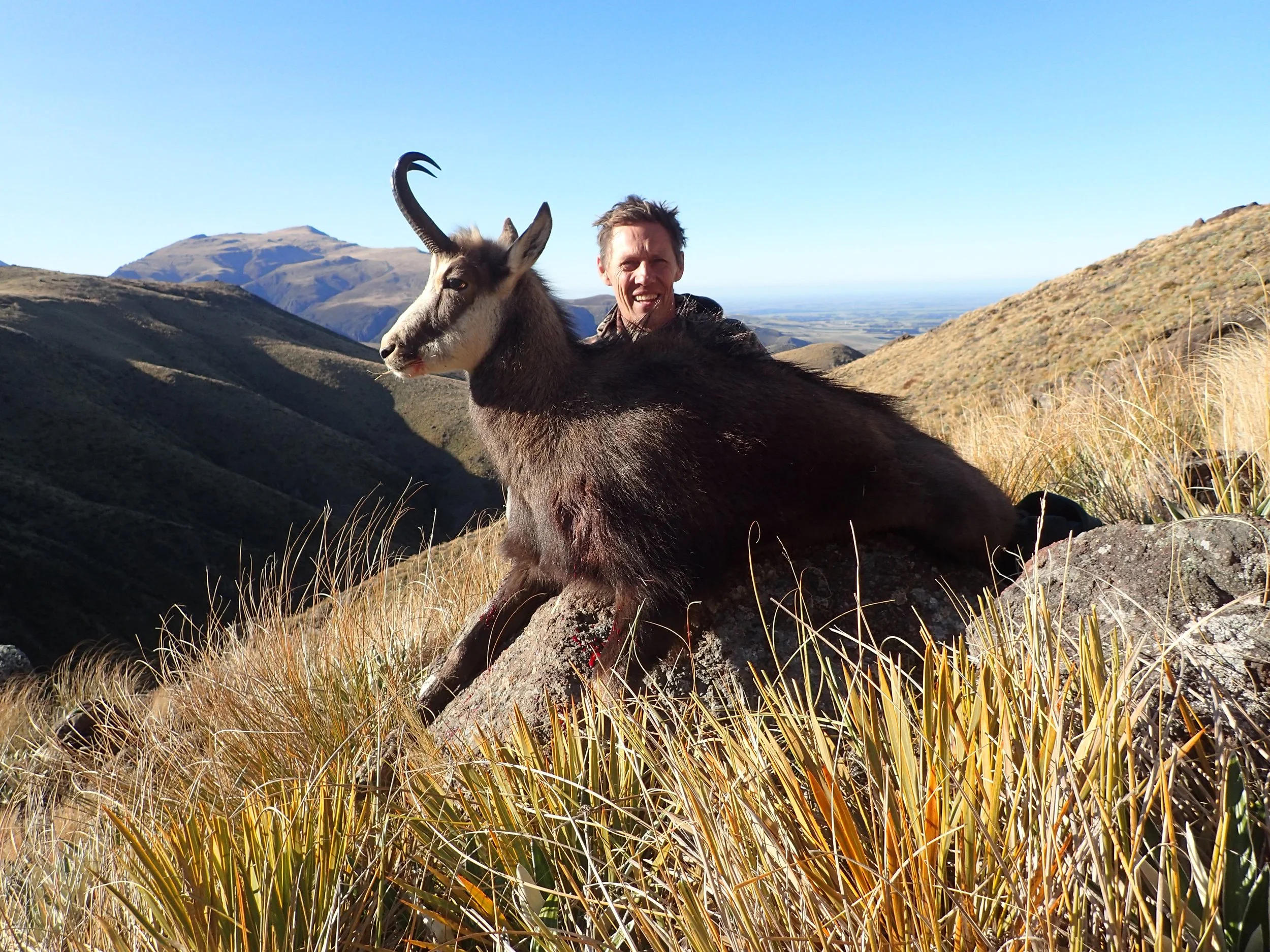 A person sits on a rock in a mountainous landscape with a goat in the foreground, dry grass, and rolling hills in the background.