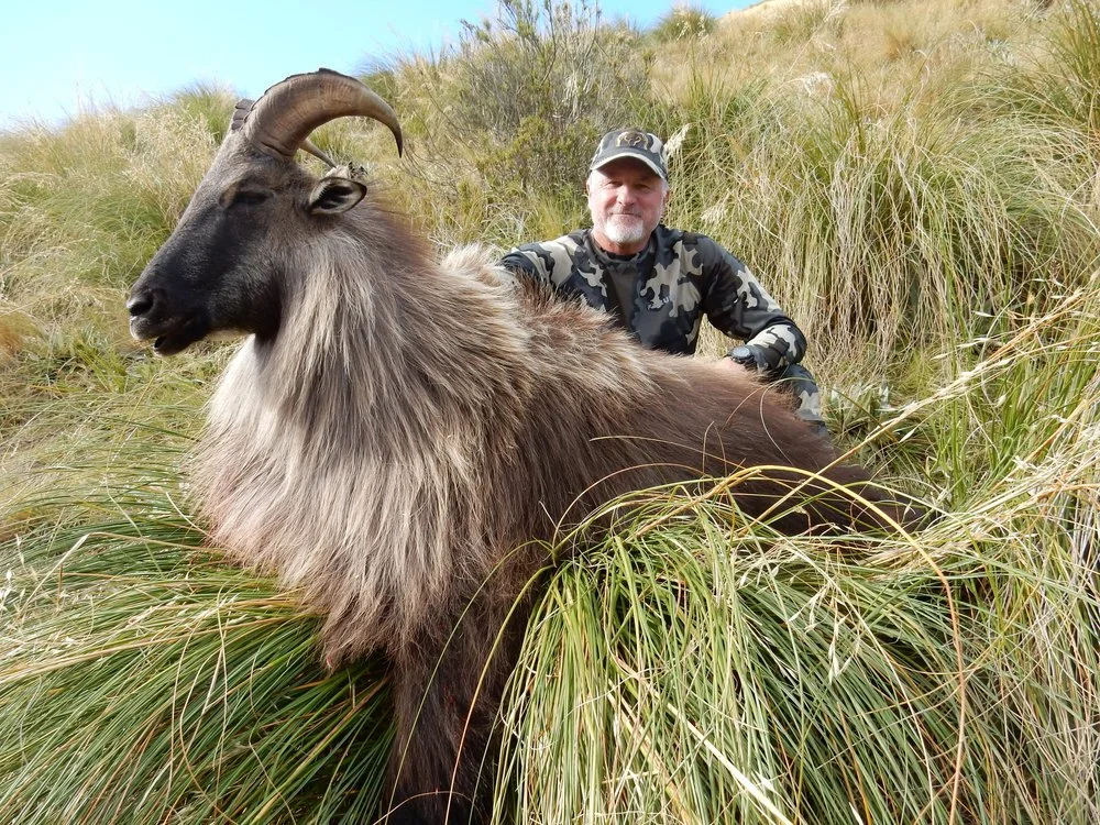 Tahr Hunt