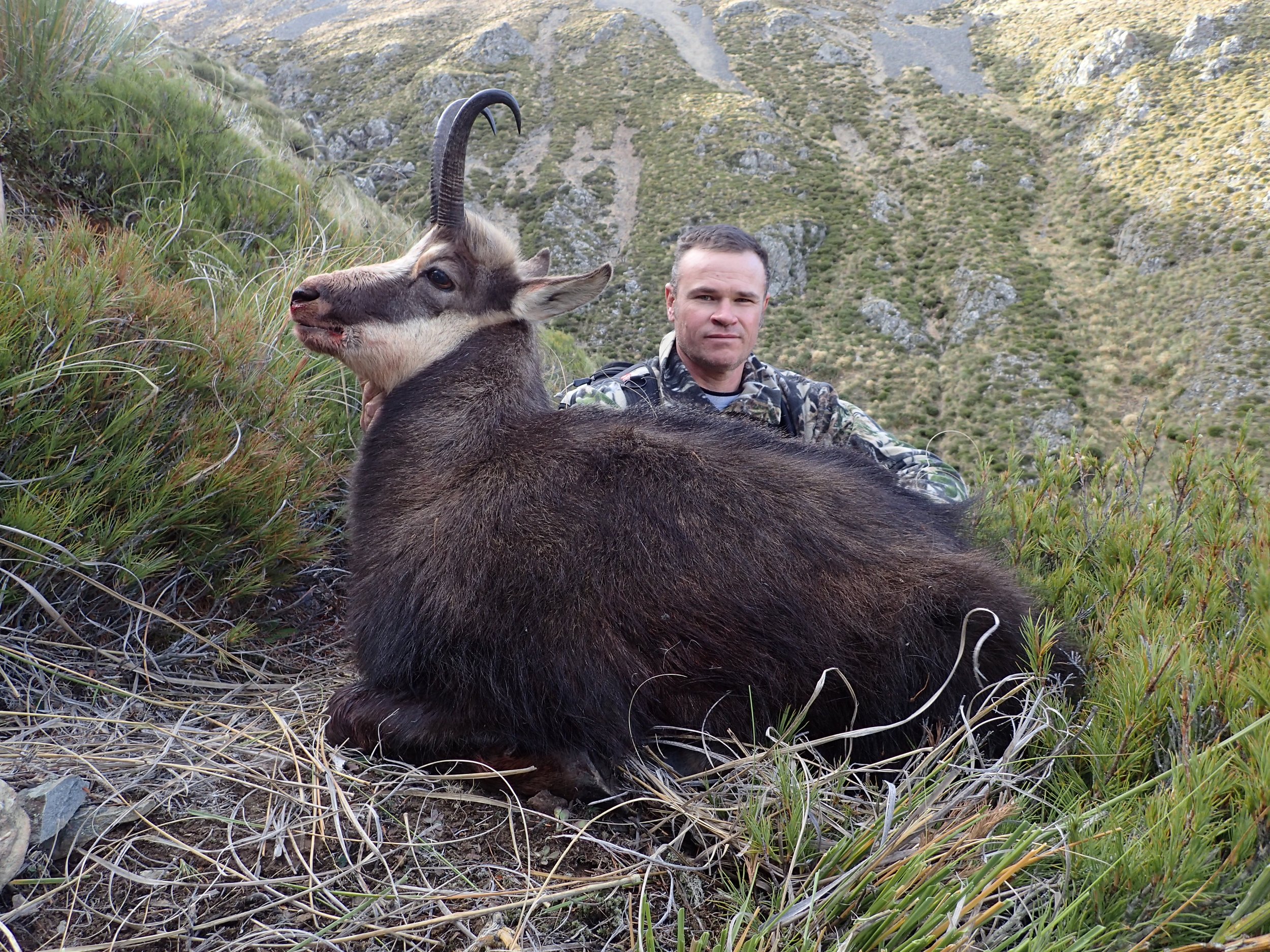 Chamois Hunt