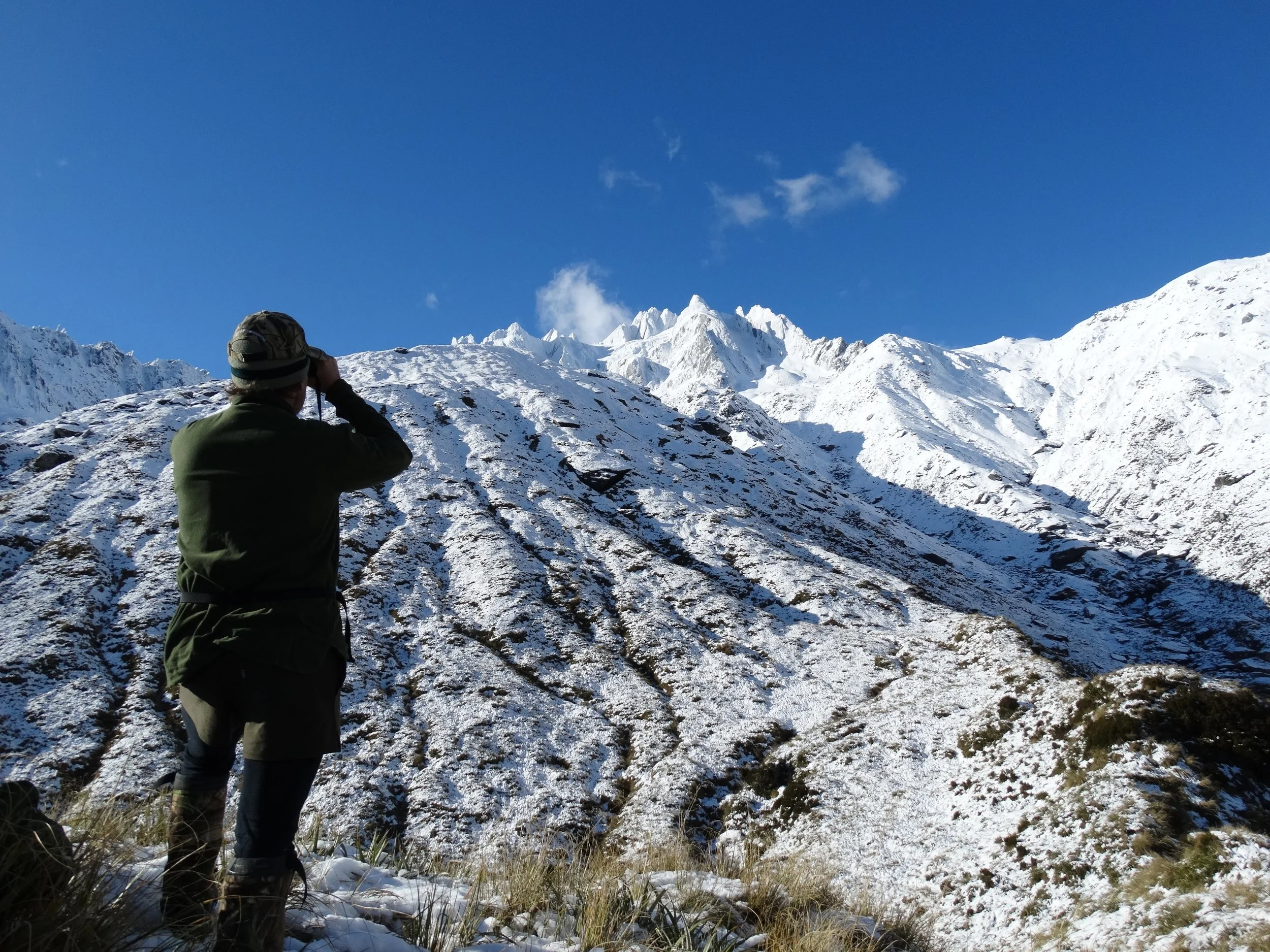 Tahr Binocular Hunting Southern Alps Snow