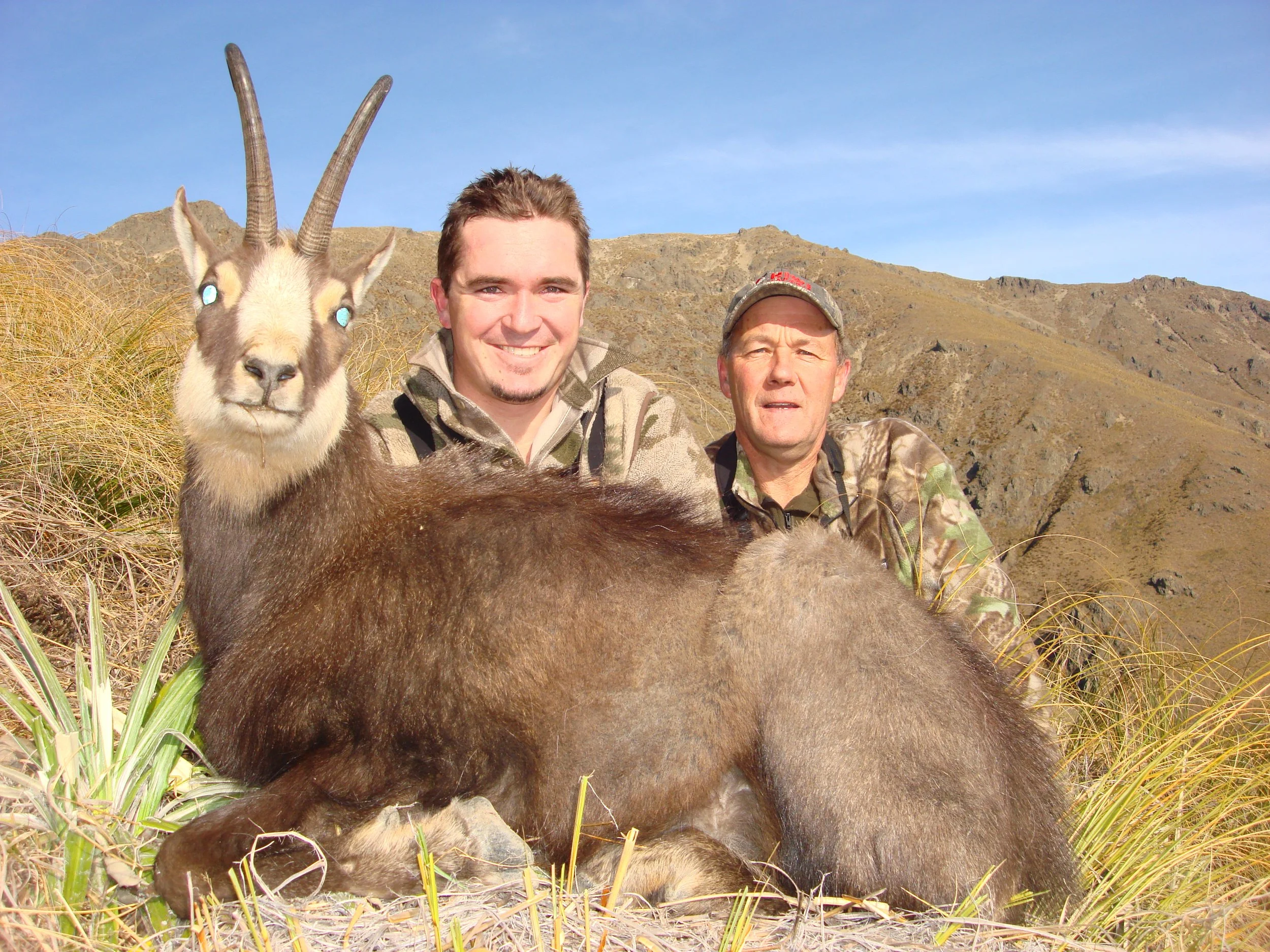 Chamois Guided Hunt New Zealand