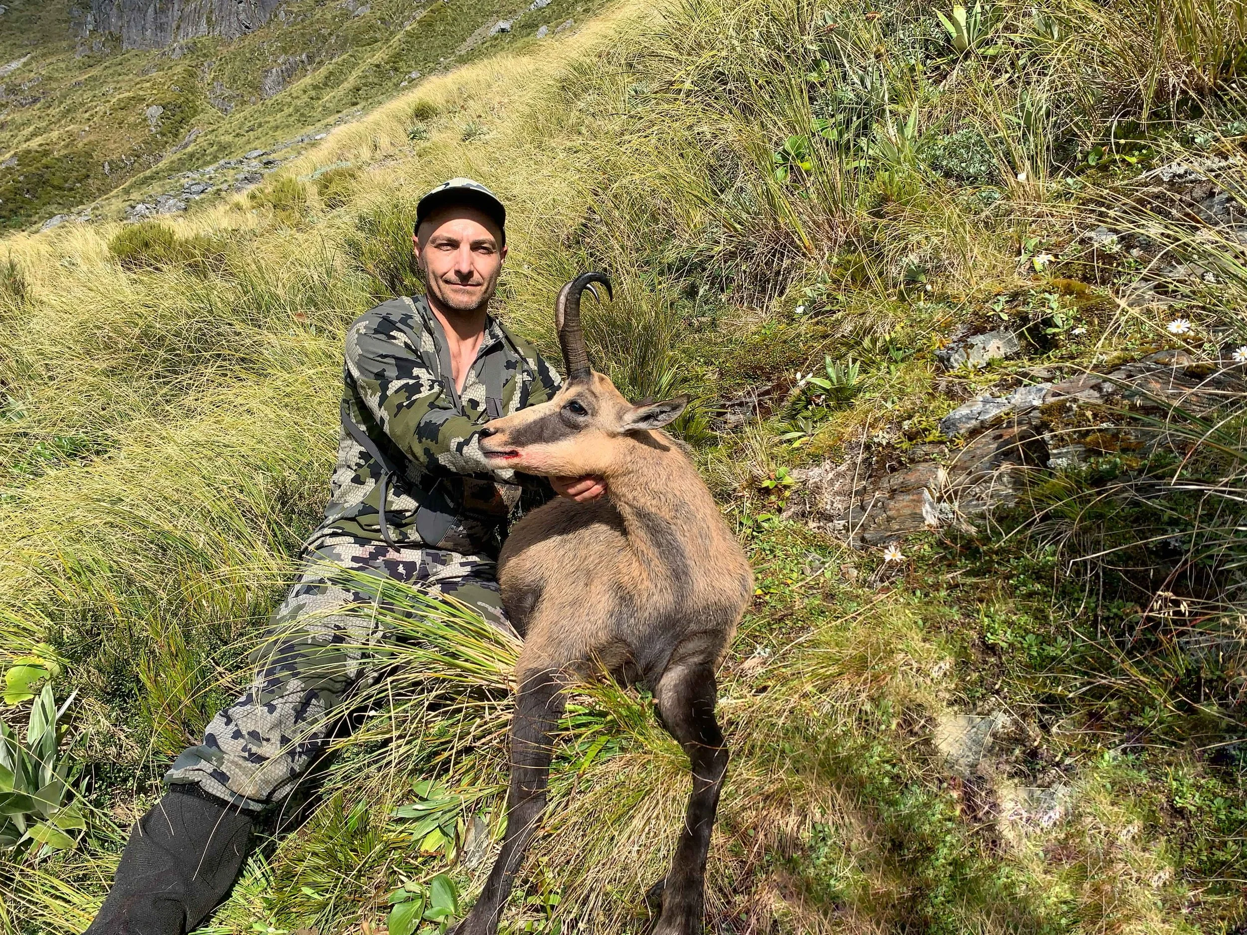 Chamois Trophy Hunt New Zealand