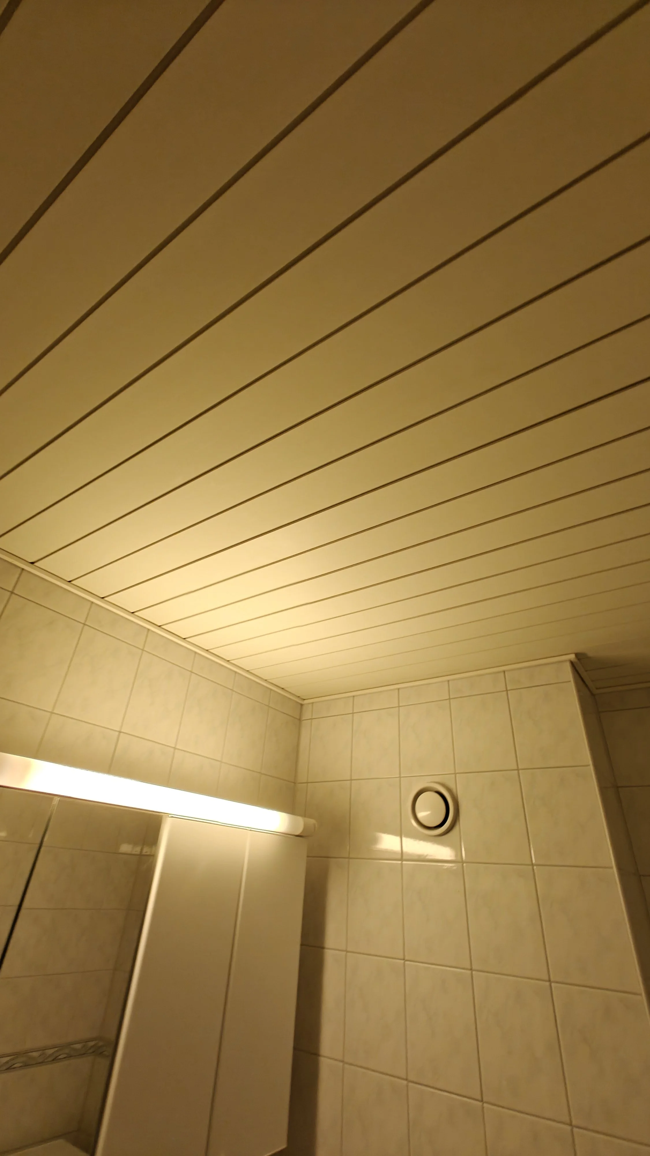 Kuva kylpyhuoneen katosta ja seinästä, jossa on valaisin ja ilmanvaihtoventtiili.