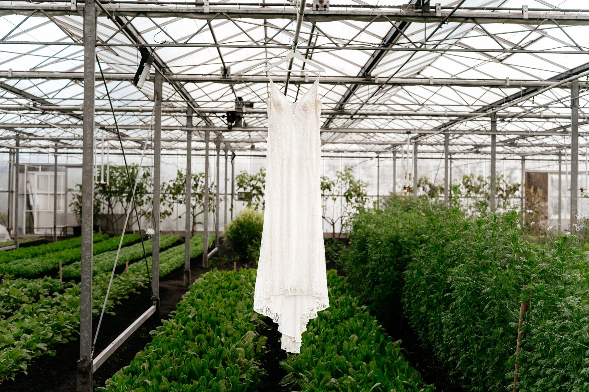 Een witte bruidsjurk in een kas met groene planten aan beide zijden.