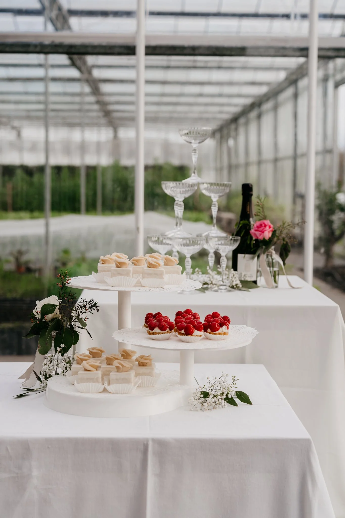 Een tafel gevuld met cupcakes en mini taarten met kersen voor een bruiloft, decoratief bloemen en een toren van lege champagneglazen op een witte tafel in een kas.