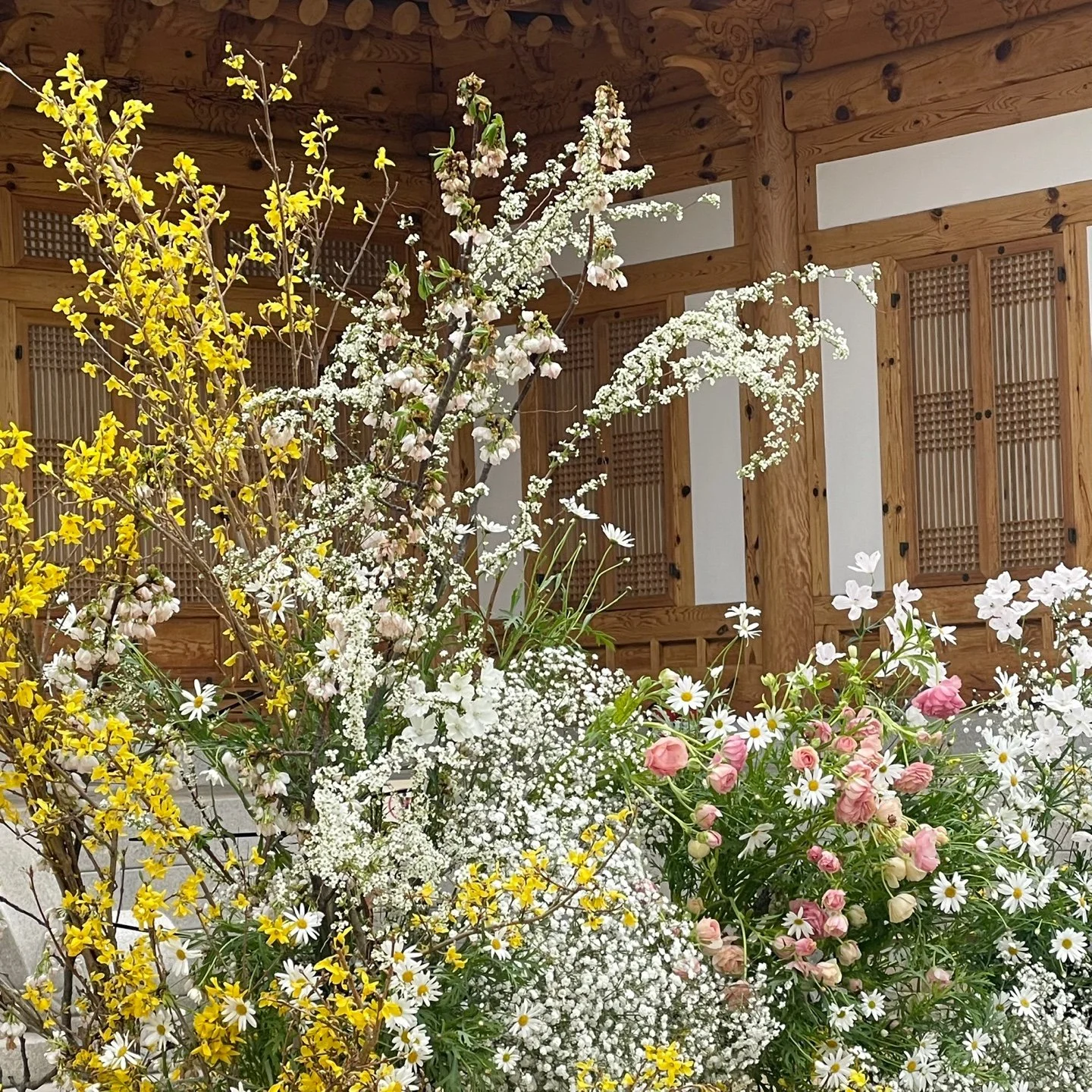 A vibrant arrangement of spring flowers, including yellow forsythia, white daisies, pink ranunculus, and baby's breath, set against a wooden interior with lattice windows.