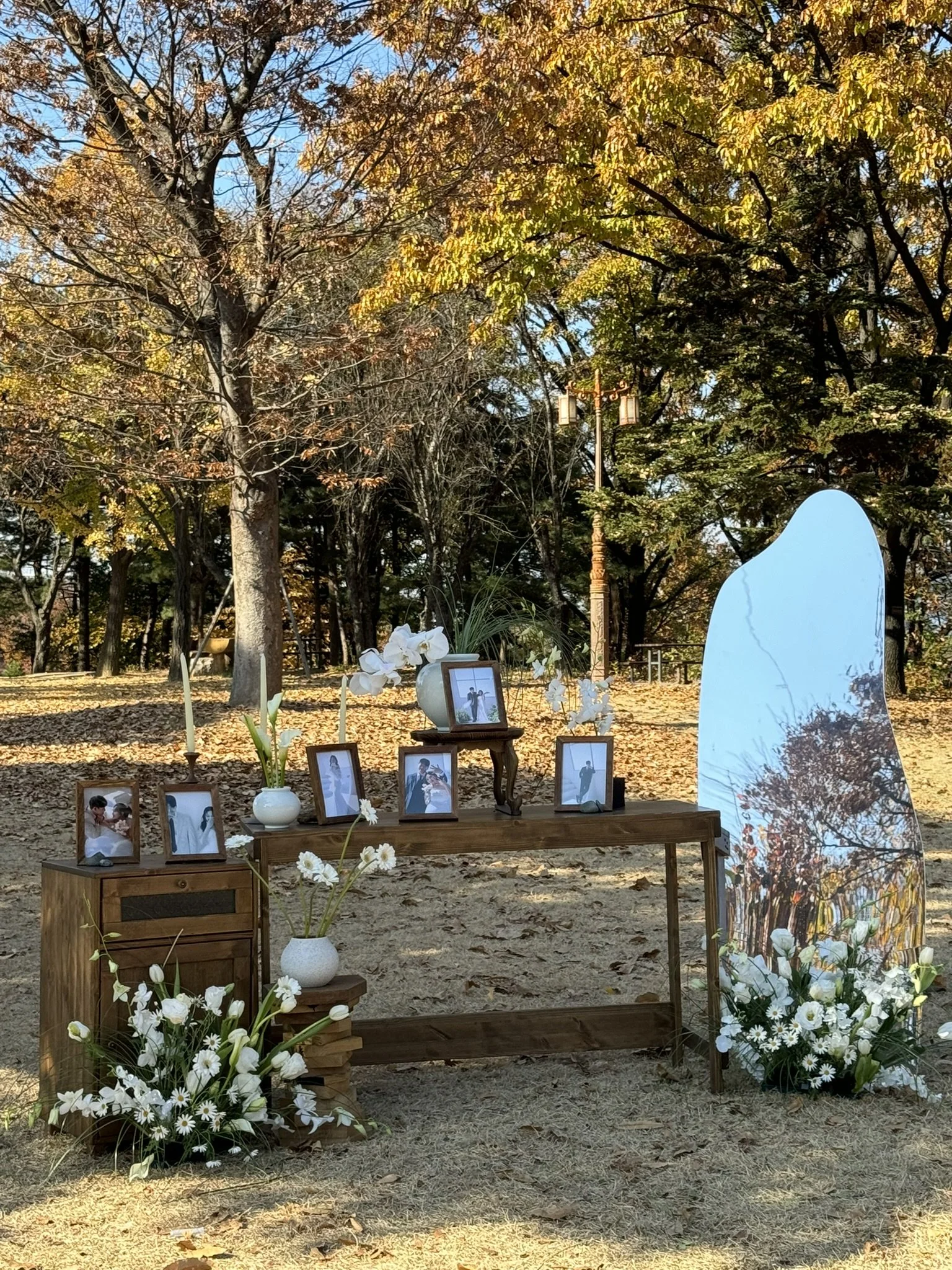 Outdoor memorial display with framed photographs, white flowers, and a large decorative mirror, set in a park with autumn trees.