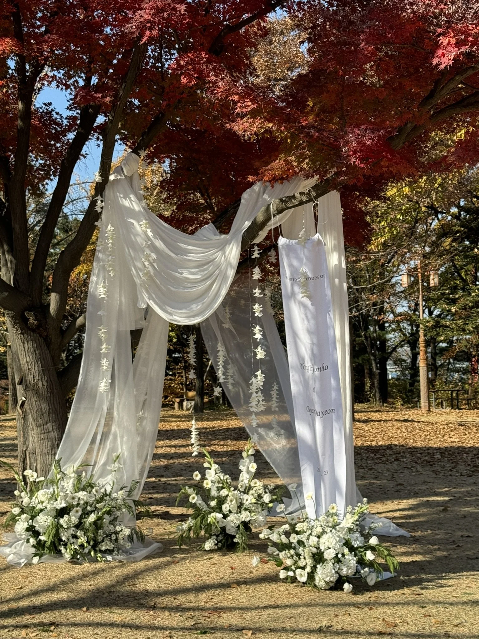Outdoor wedding arch decorated with white drapes and flowers, set among autumn trees with red and orange leaves.