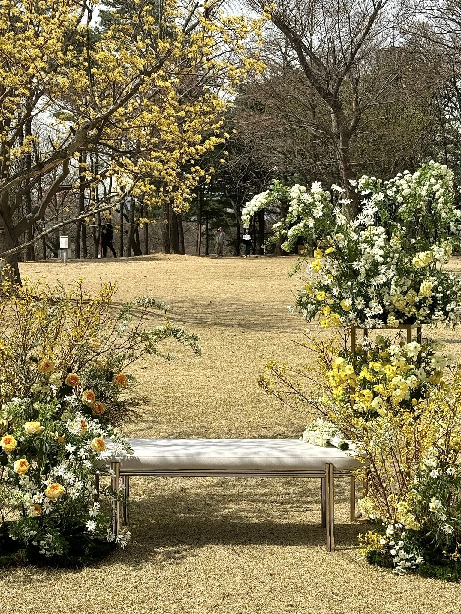 An outdoor wedding setup with a white bench surrounded by yellow, white, and orange flowers, in a park with trees and people in the background.