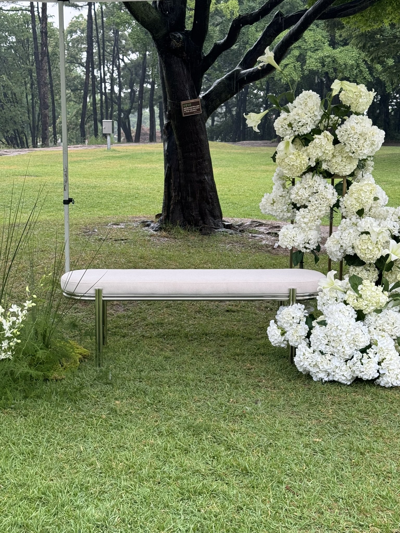 A white funeral bench is positioned on green grass, with a large white floral arrangement on the right. Behind is a tall black tree with a small brown plaque, in a park-like setting with trees and open grassy areas.