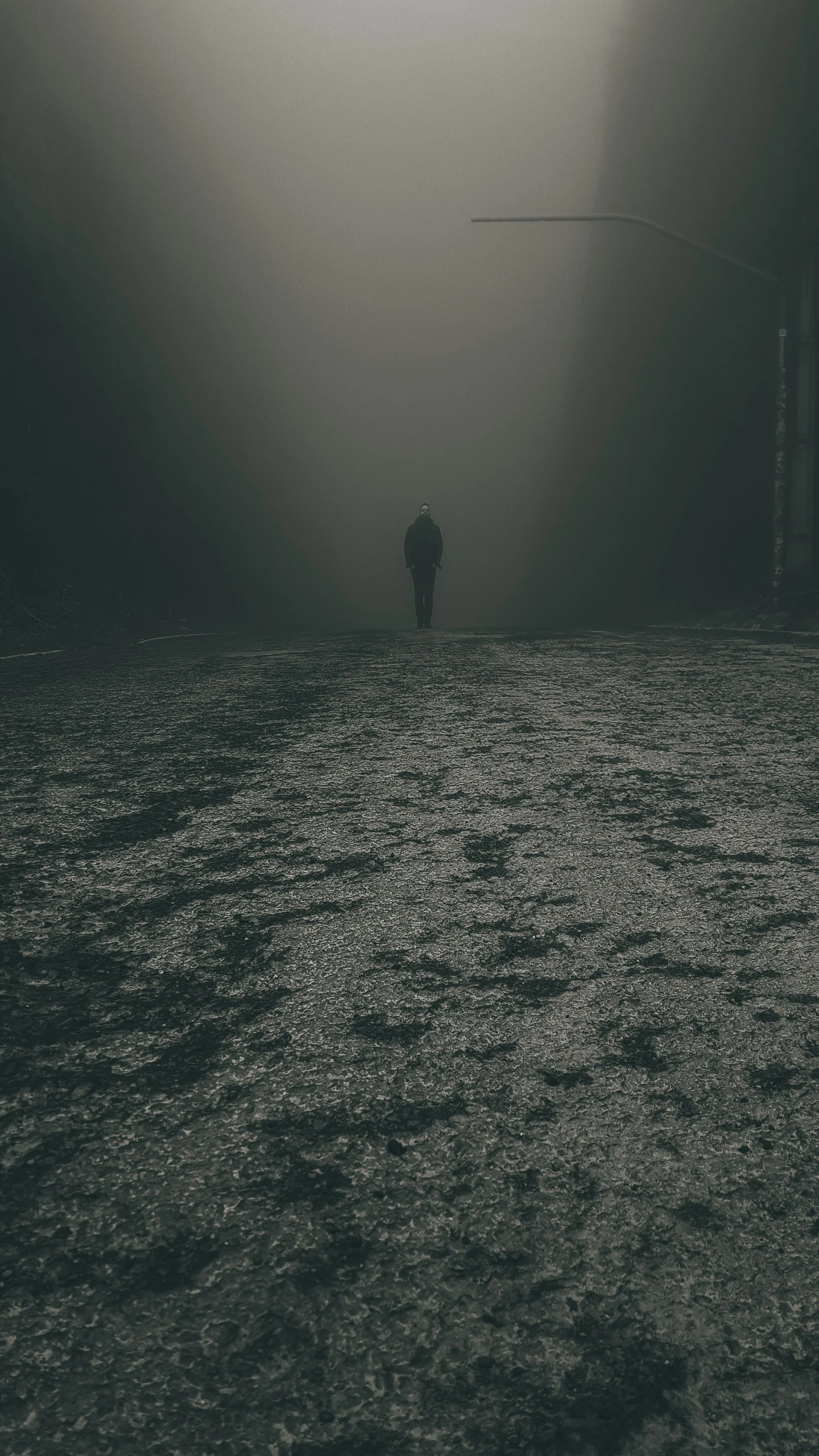 Person walking through morning fog, symbolizing emotional numbness, living on autopilot, and healing from high-functioning trauma.