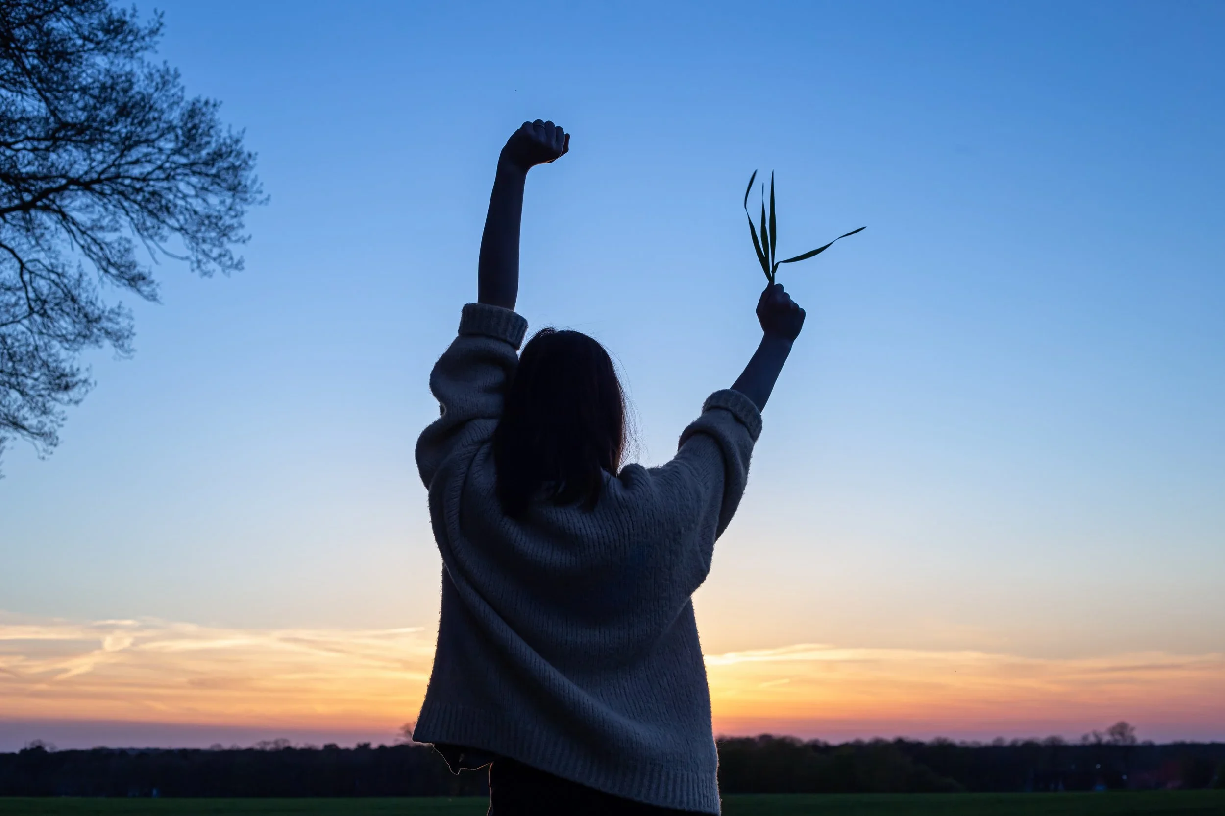 Silhouette of a person standing in a field at sunset with both arms raised while holding a small plant, symbolizing healing and reclaiming personal freedom.