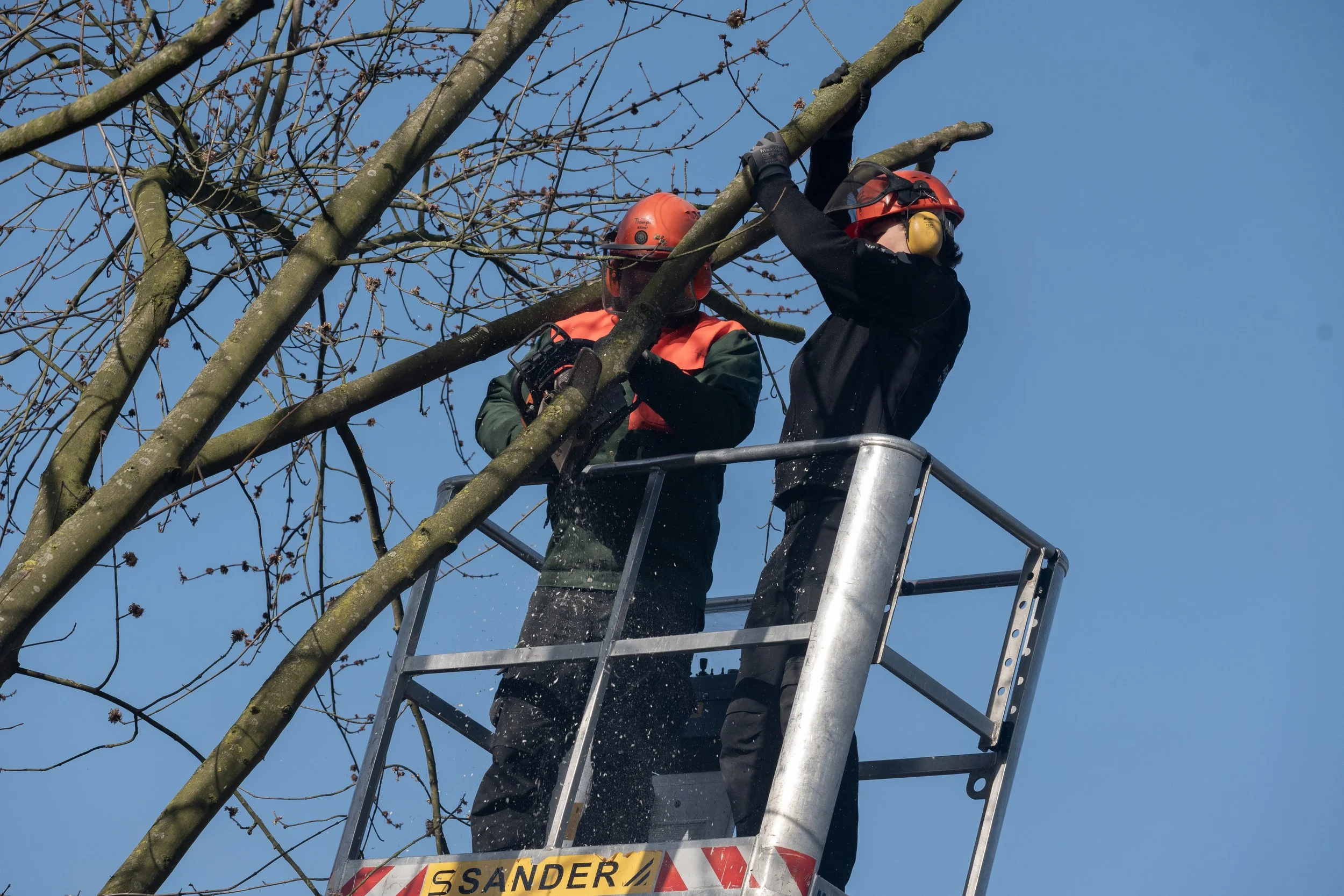 Zwei Baumarbeiter tragen Helme und Schutzkleidung, während sie in einem Baum stehen und Zweige bearbeiten, auf einer Hebebühne gegen den blauen Himmel.