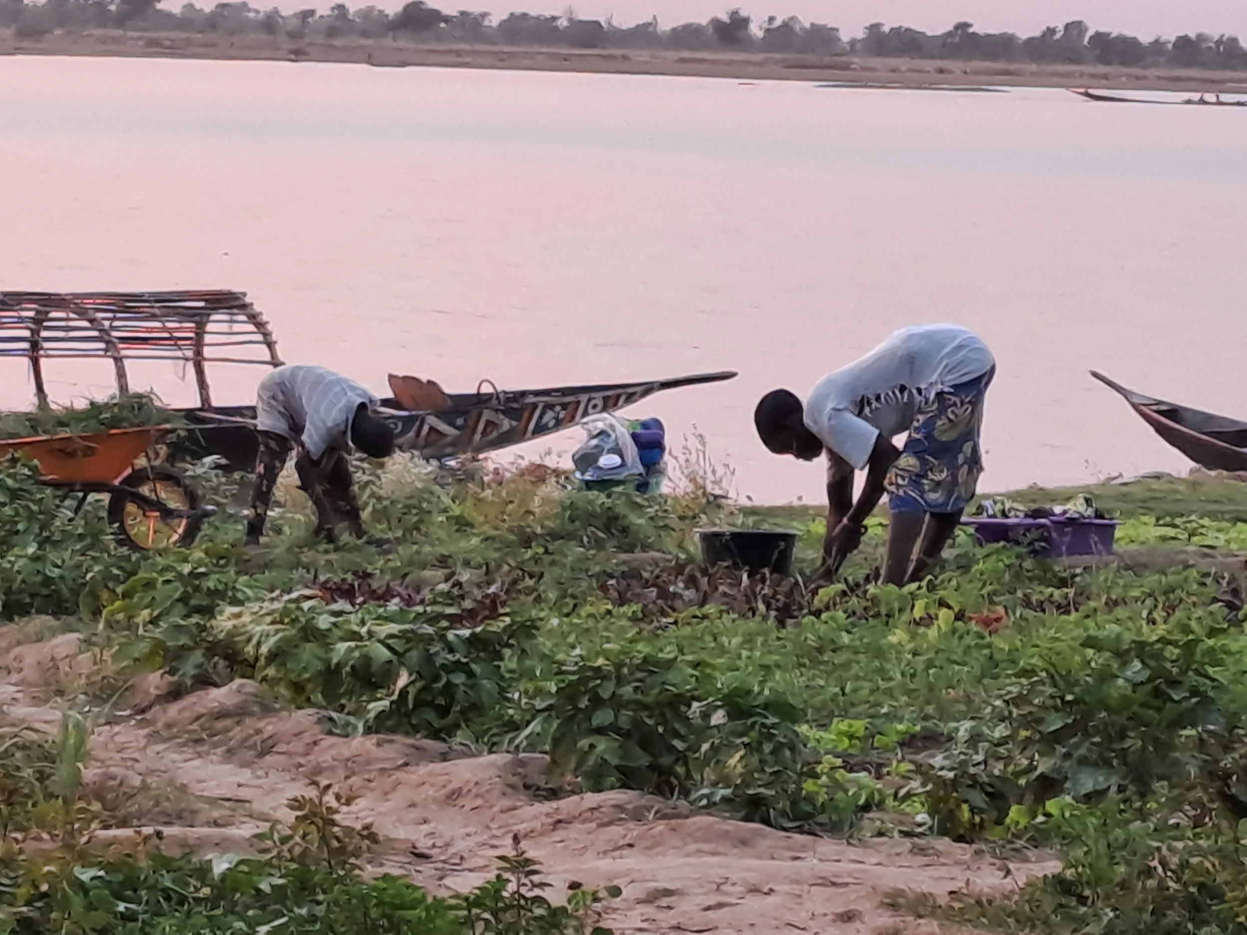Two people working in a lush garden near a body of water, with boats on the shore in the background.