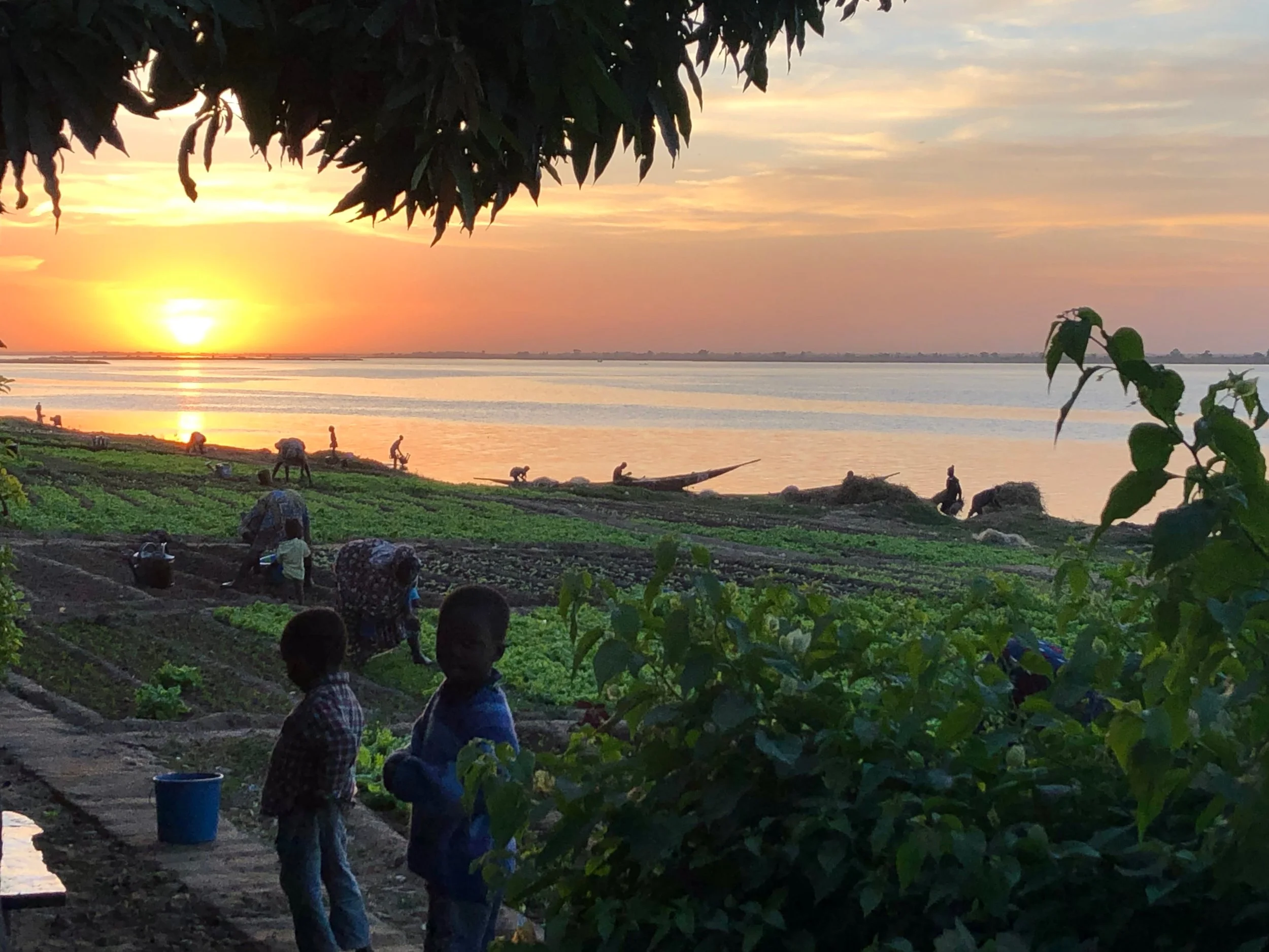 Children and adults working in a lush green garden near the water at sunset, with a vibrant orange and pink sky, a few boats on the river, and the silhouettes of people fishing and walking along the riverbank.