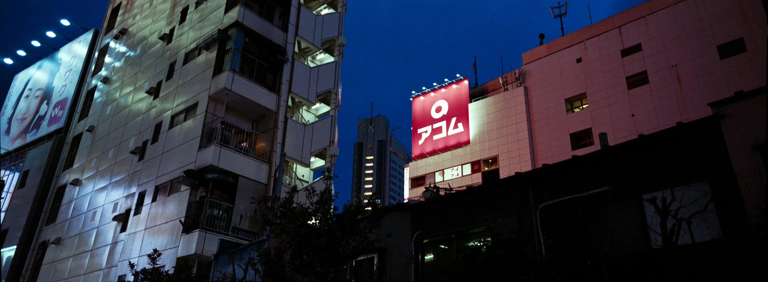Xpan fuji 100 nikko-727.jpeg