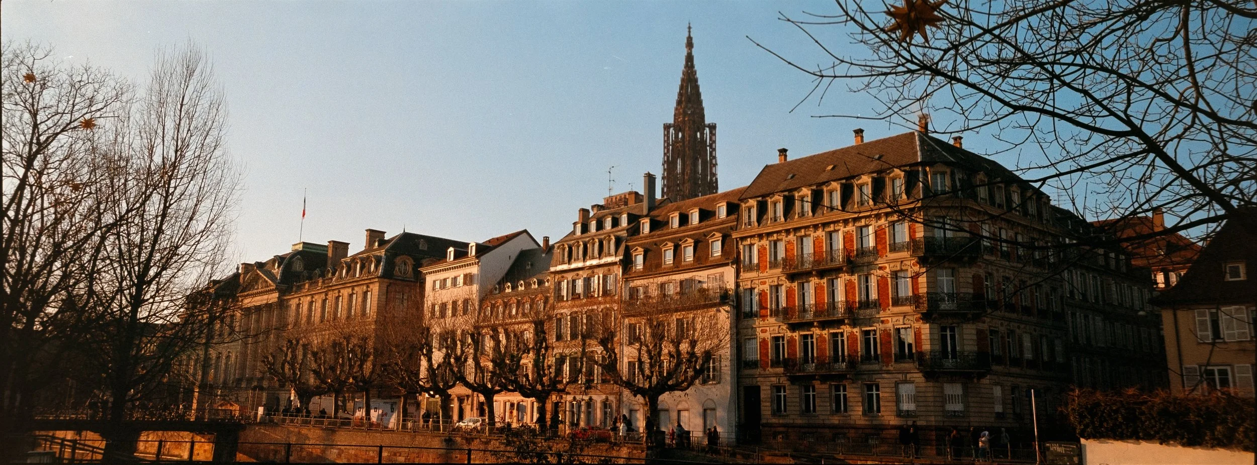 xpan alscace25 portra 800-226.jpeg