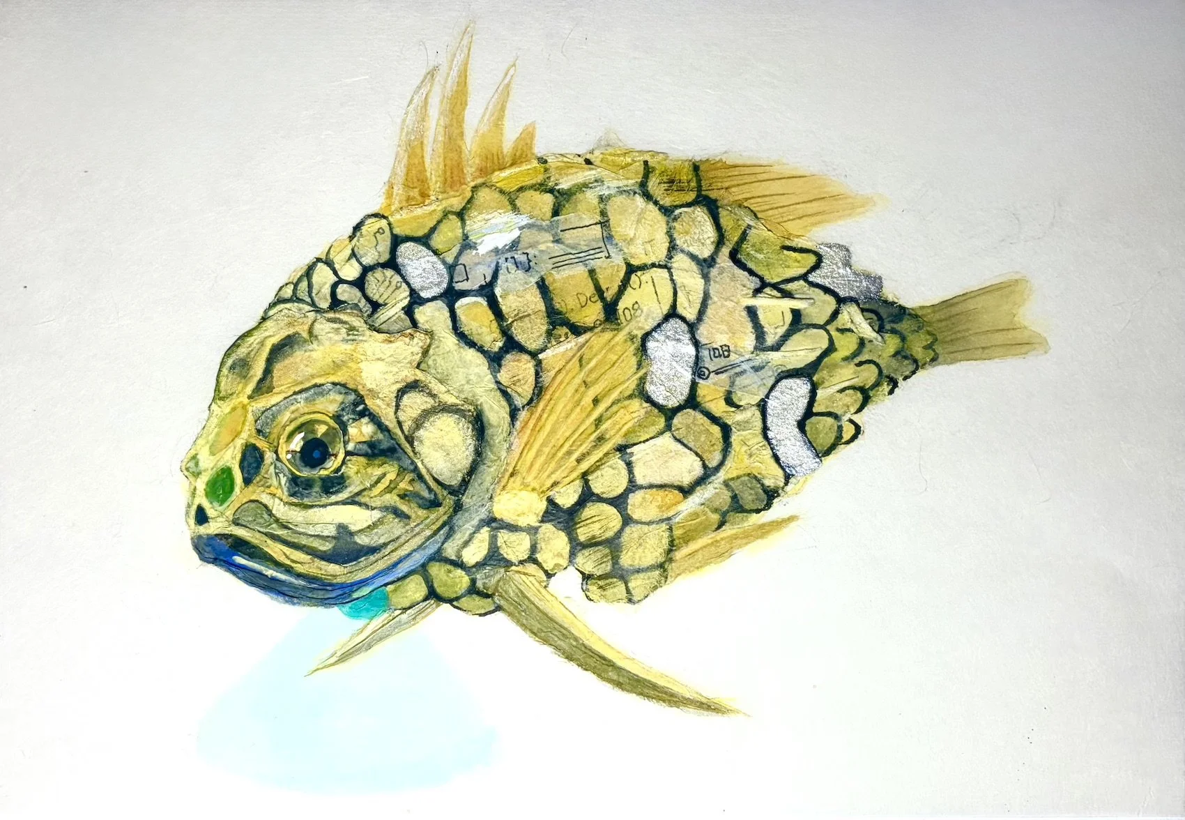 Archive_The Cabinet_Kamba