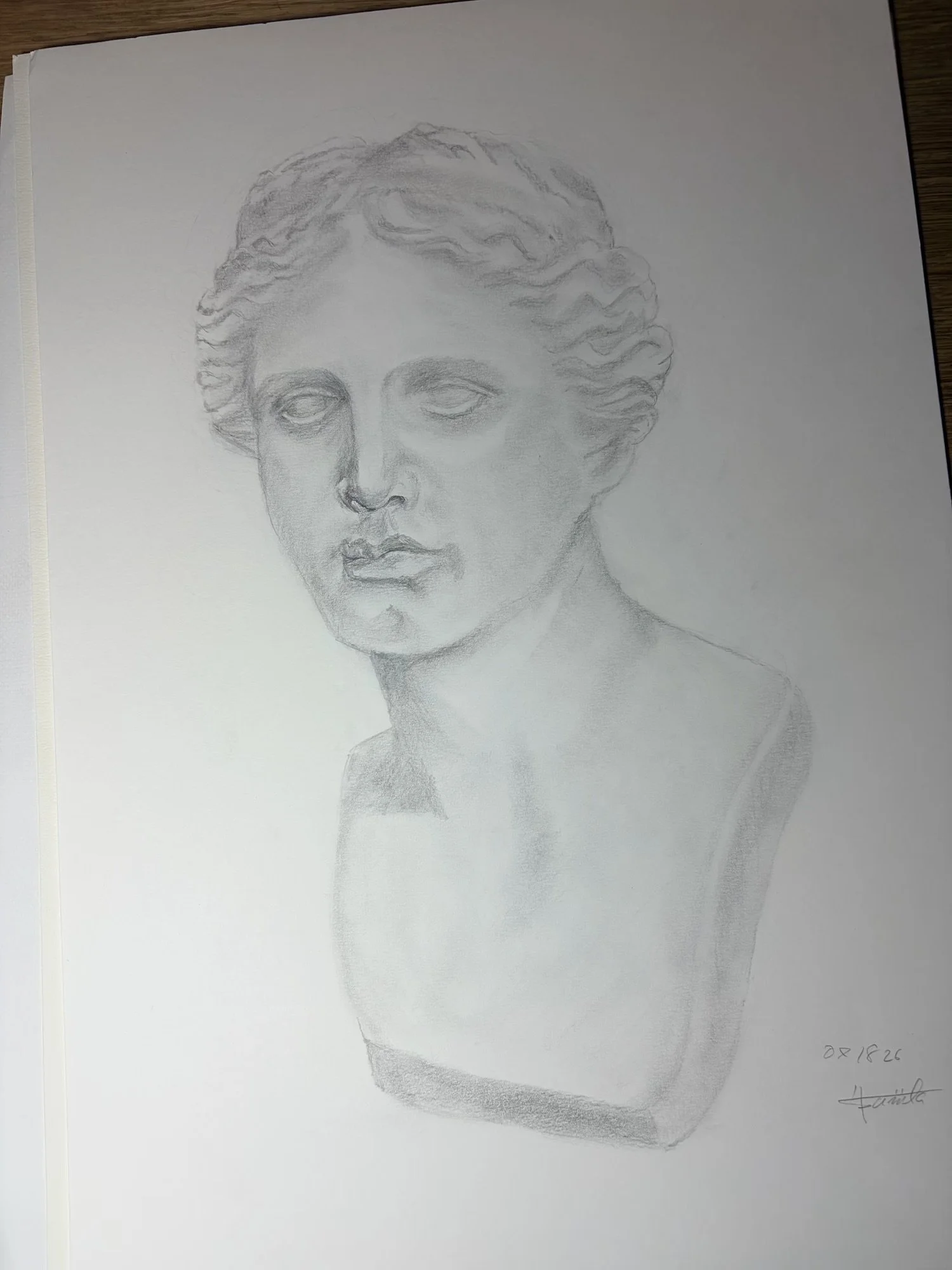Miro_Plaster Cast_Drawing