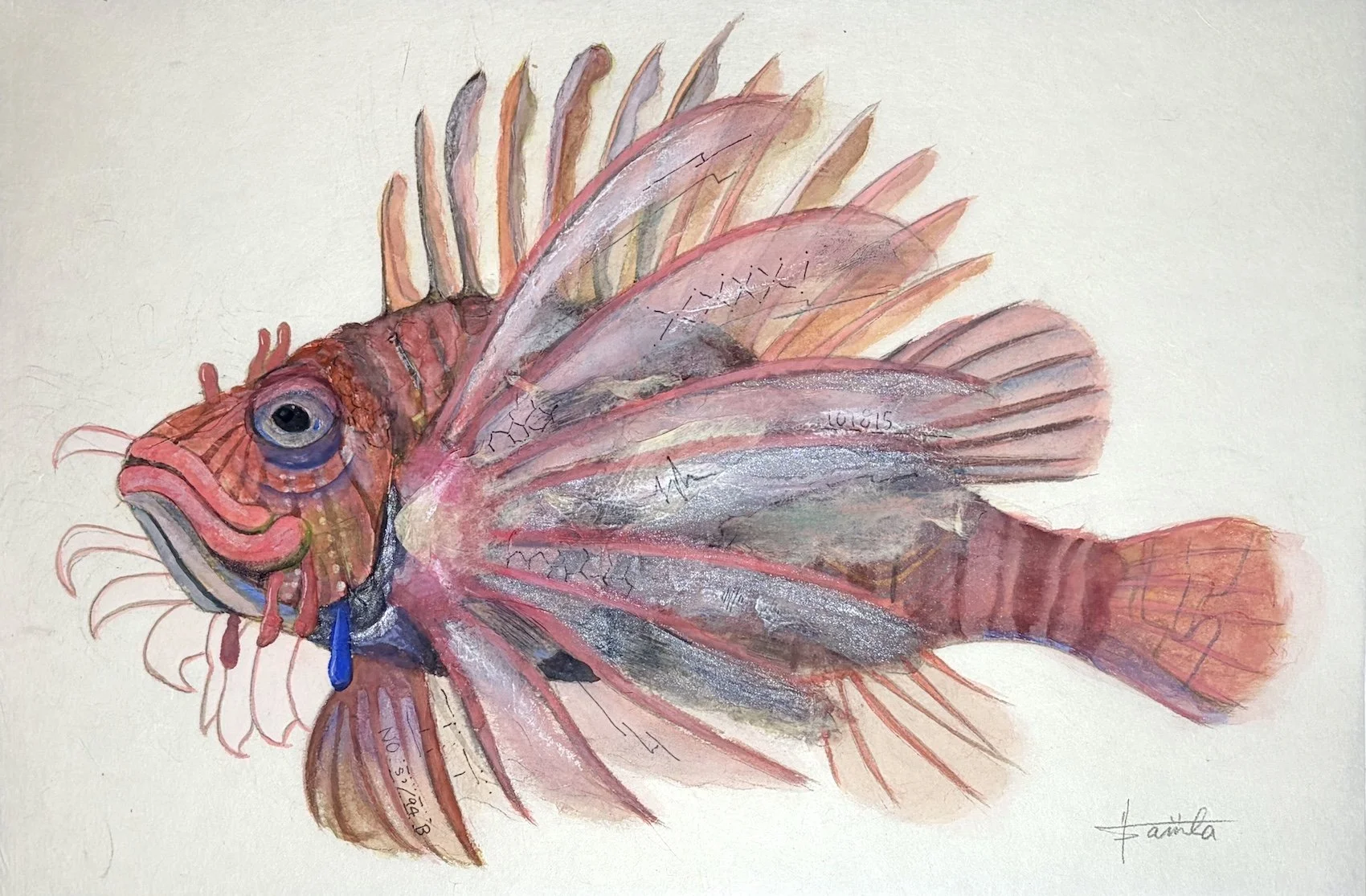 DOSE_継ぎ紙_コラージュ_百海百魚
