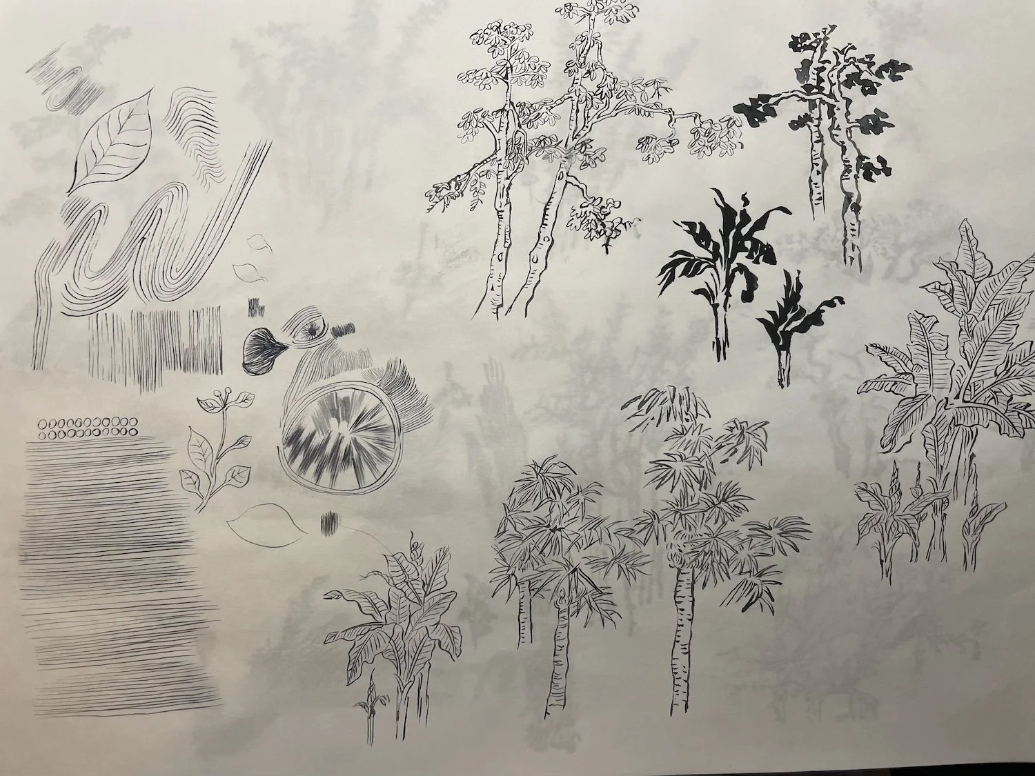 筆線画き模写_ 介子園画博より