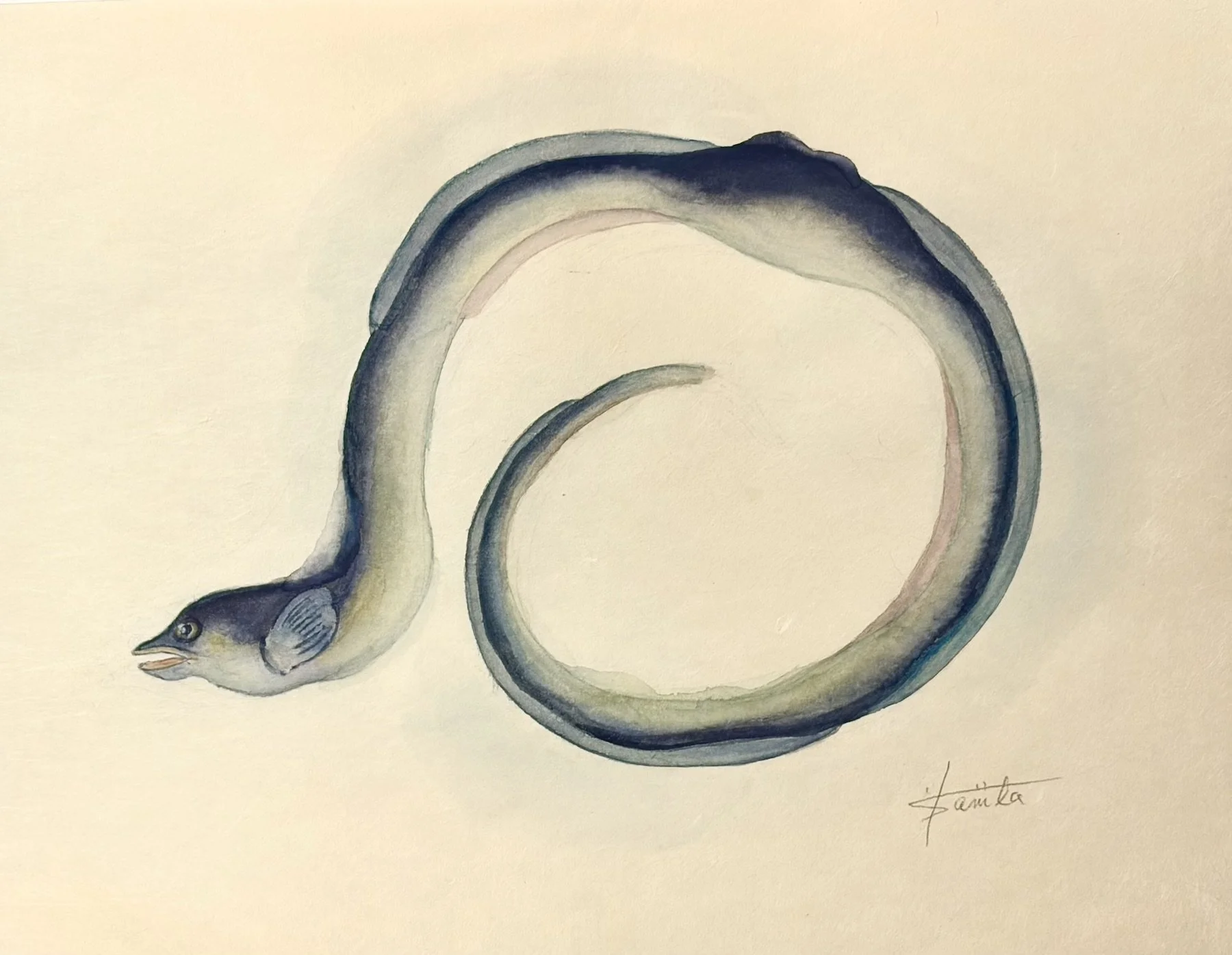 ウナギ_きよまる魚図鑑 日本画